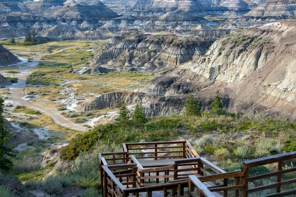 Wooden fenced boardwalk with a viewpoint to eroded sandstone formations on the hills of the canyon with unique flora growing in summer. Horseshoe canyon, Drumheller, Alberta, Canada.