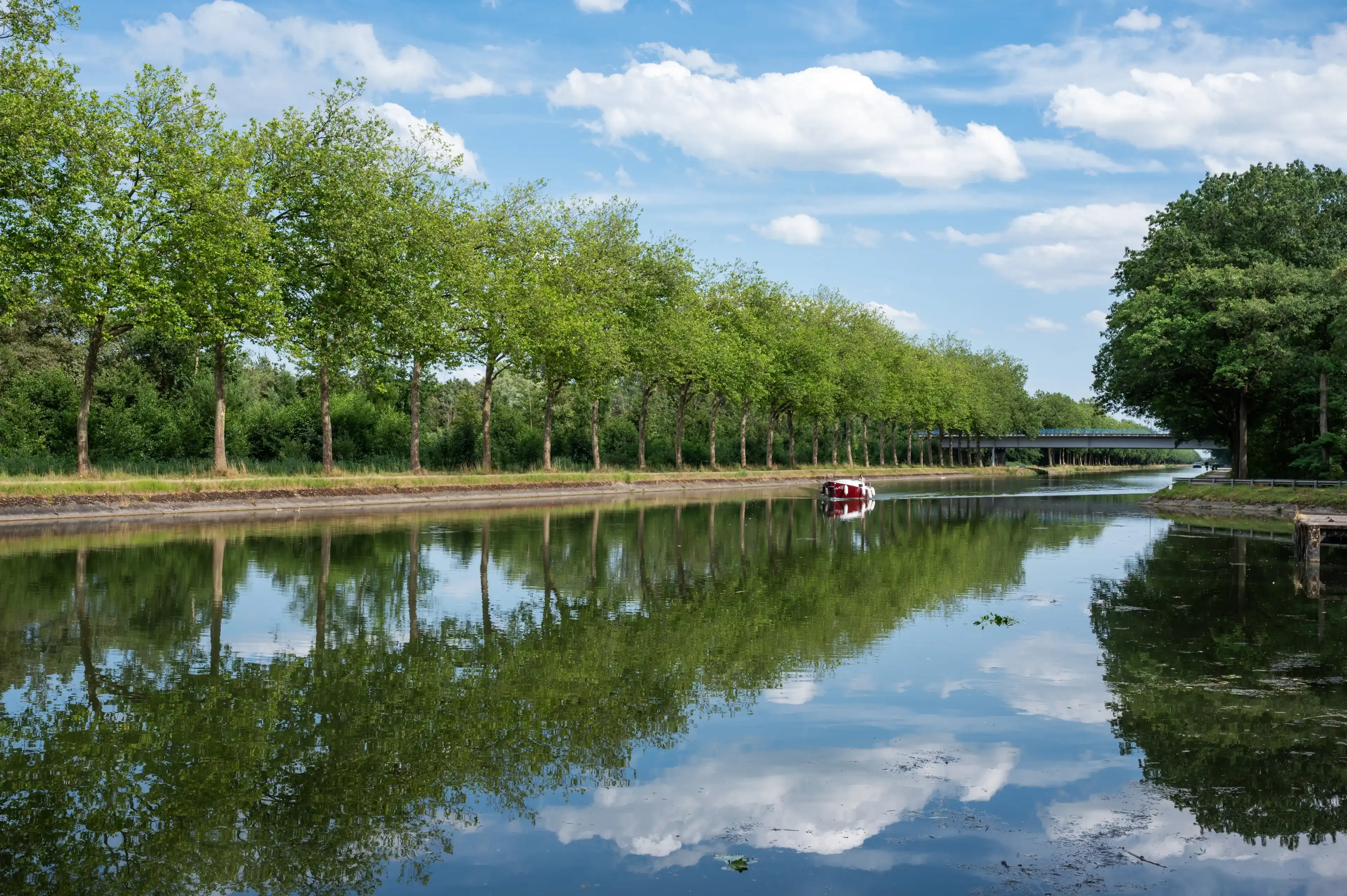 Bocholt, Limburg, Belgium, July 14, 2023 - Trees reflecting in the Bocholt Herentals canal with a pleasure boat