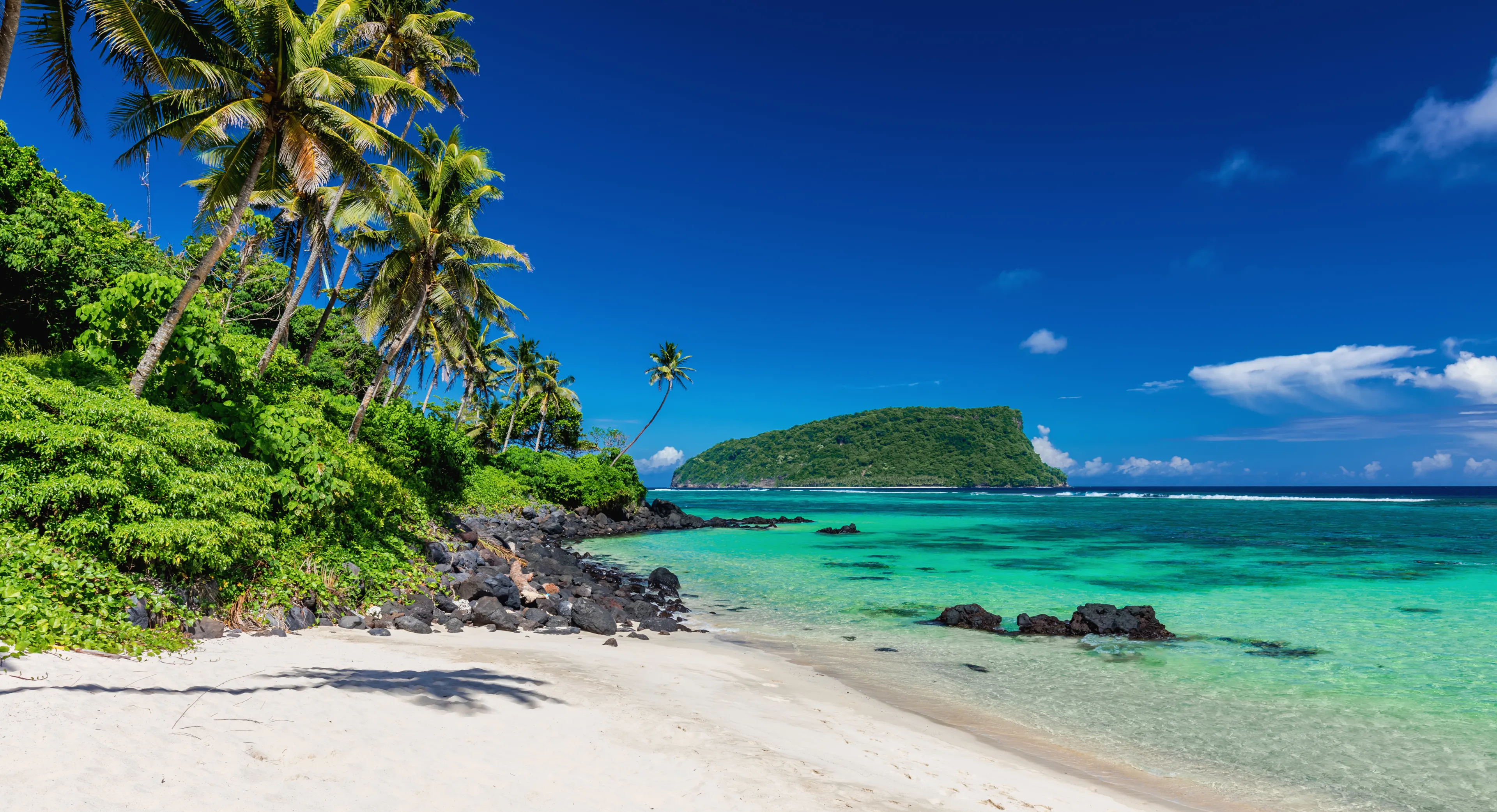 Vibrant tropical Lalomanu beach on Samoa Island with coconut palm trees and black rocks