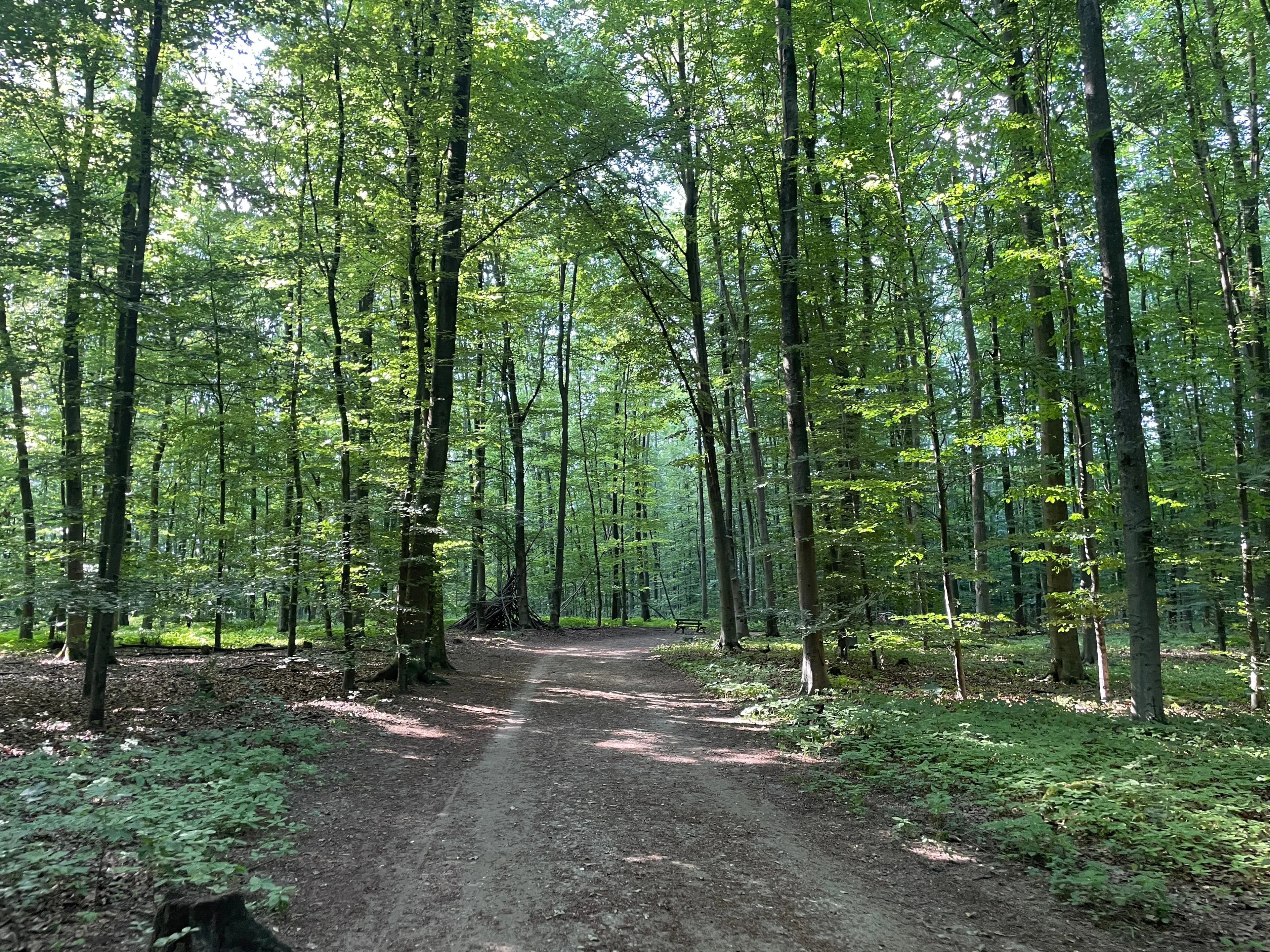 Best Hilden hotels. Cheap hotels in Hilden, Germany