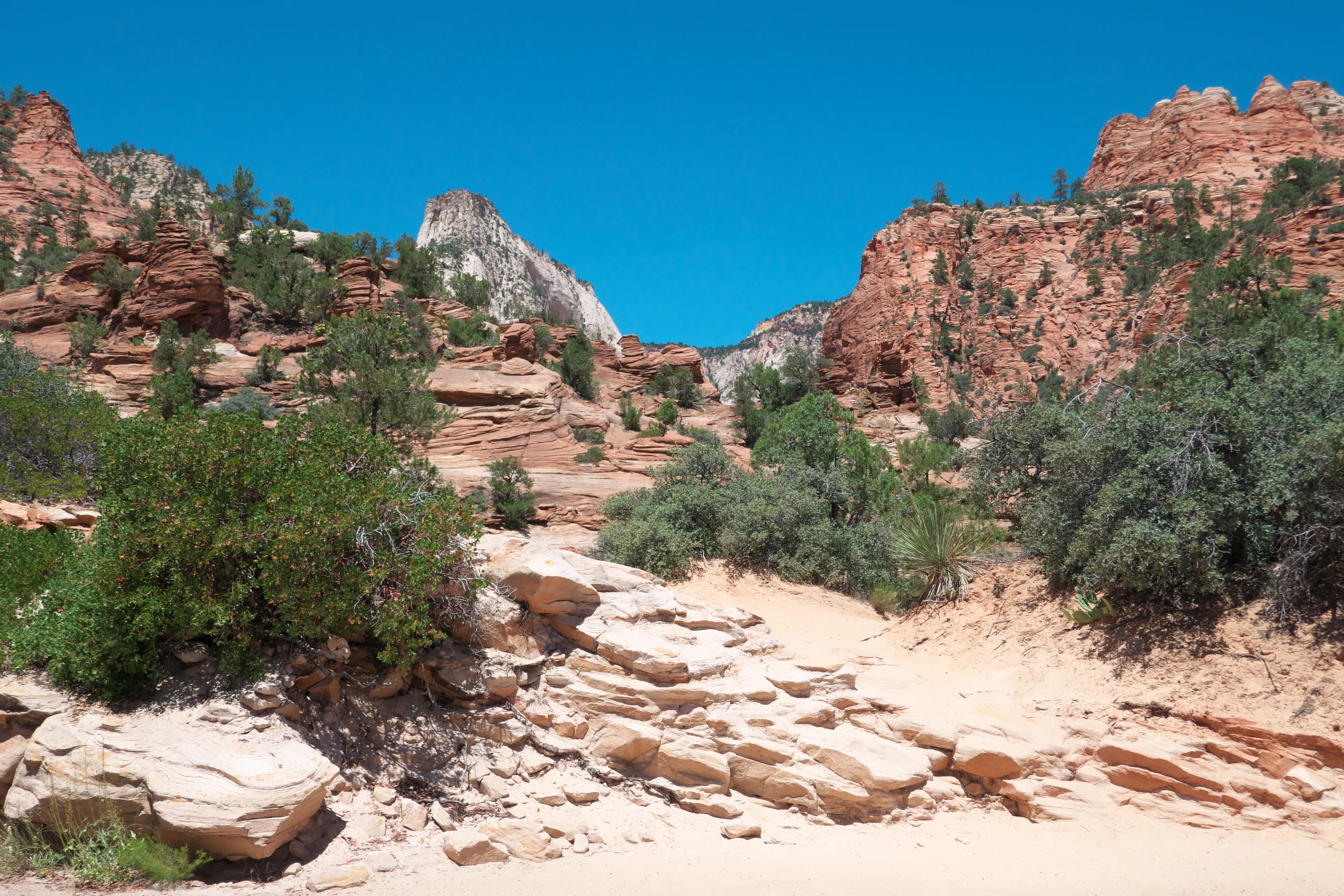 Best Springdale hotels. Cheap hotels in Springdale, Utah, United States