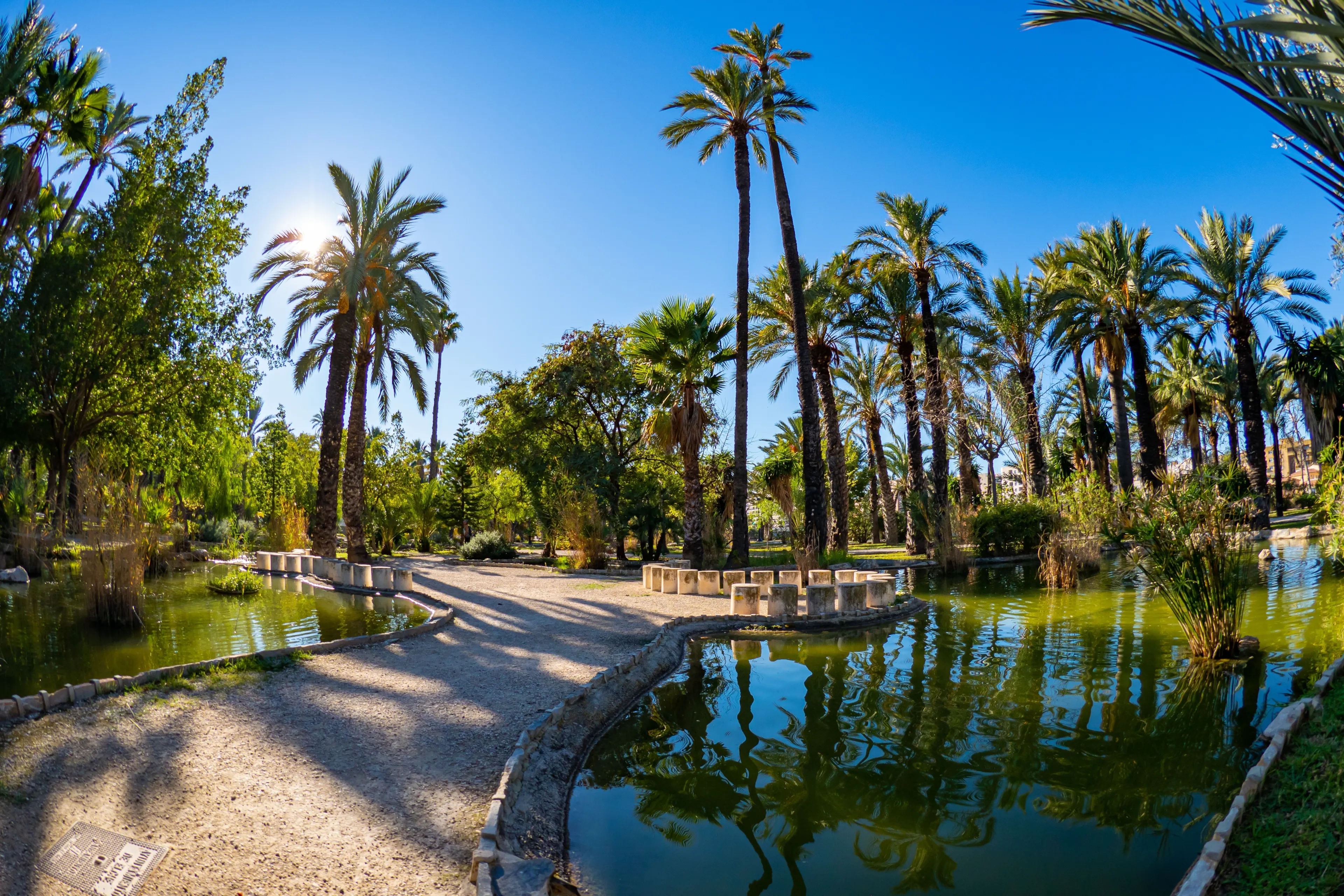 Best Elche hotels. Cheap hotels in Elche, Spain