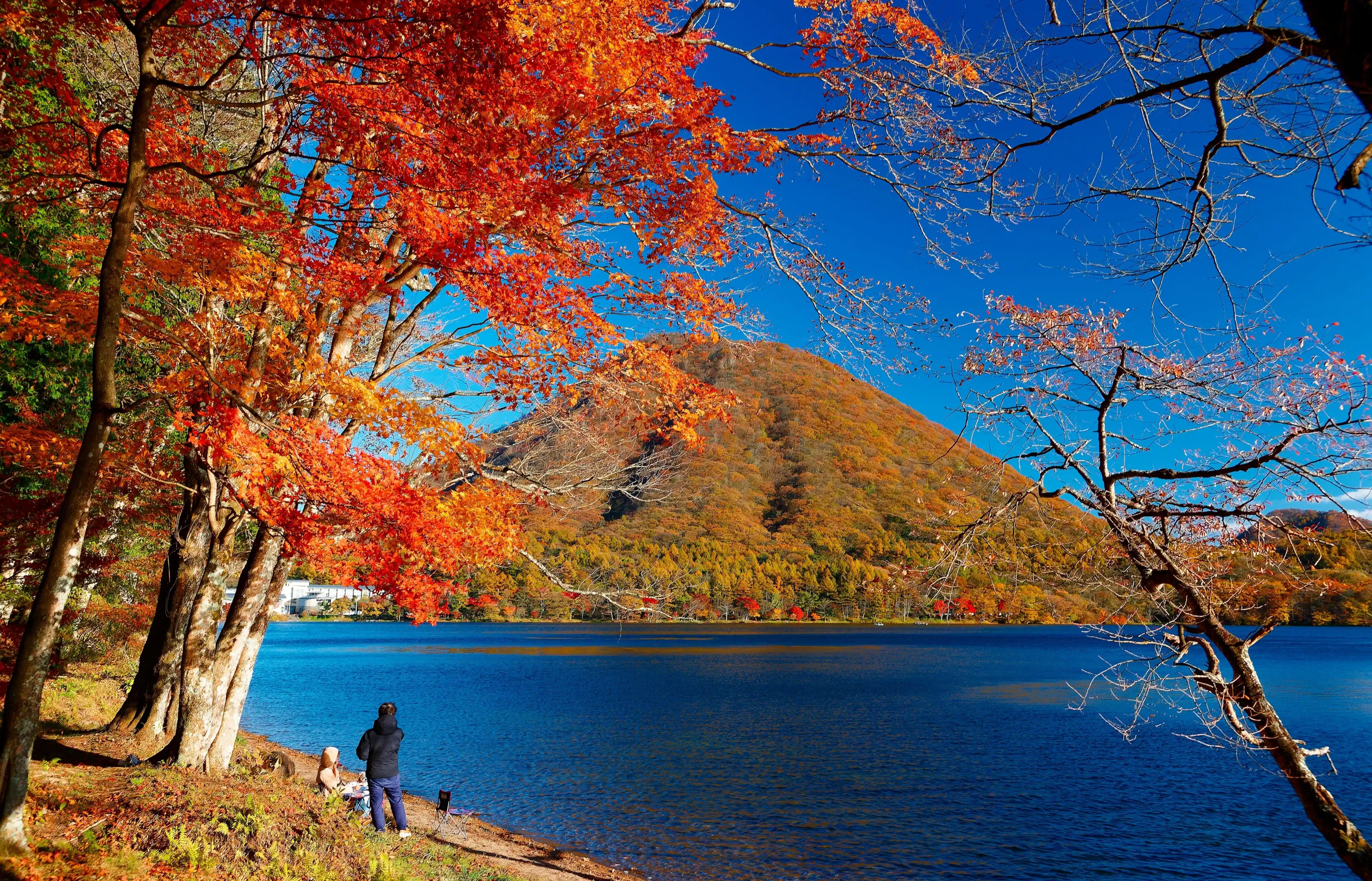 On the shore of Lake Haruna 榛名湖, tourists enjoy the view of beautiful fall colors and Mount Haruna-Fuji 榛名富士 under blue clear sky in background on a sunny autumn day, in Takasaki, Gunma, Japan On the shore of Lake Haruna 榛名湖, tourists enjoy the view of beautiful fall colors and Mount Haruna-Fuji 榛名富士 under blue clear sky in background on a sunny autumn day, in Takasaki, Gunma, Japan