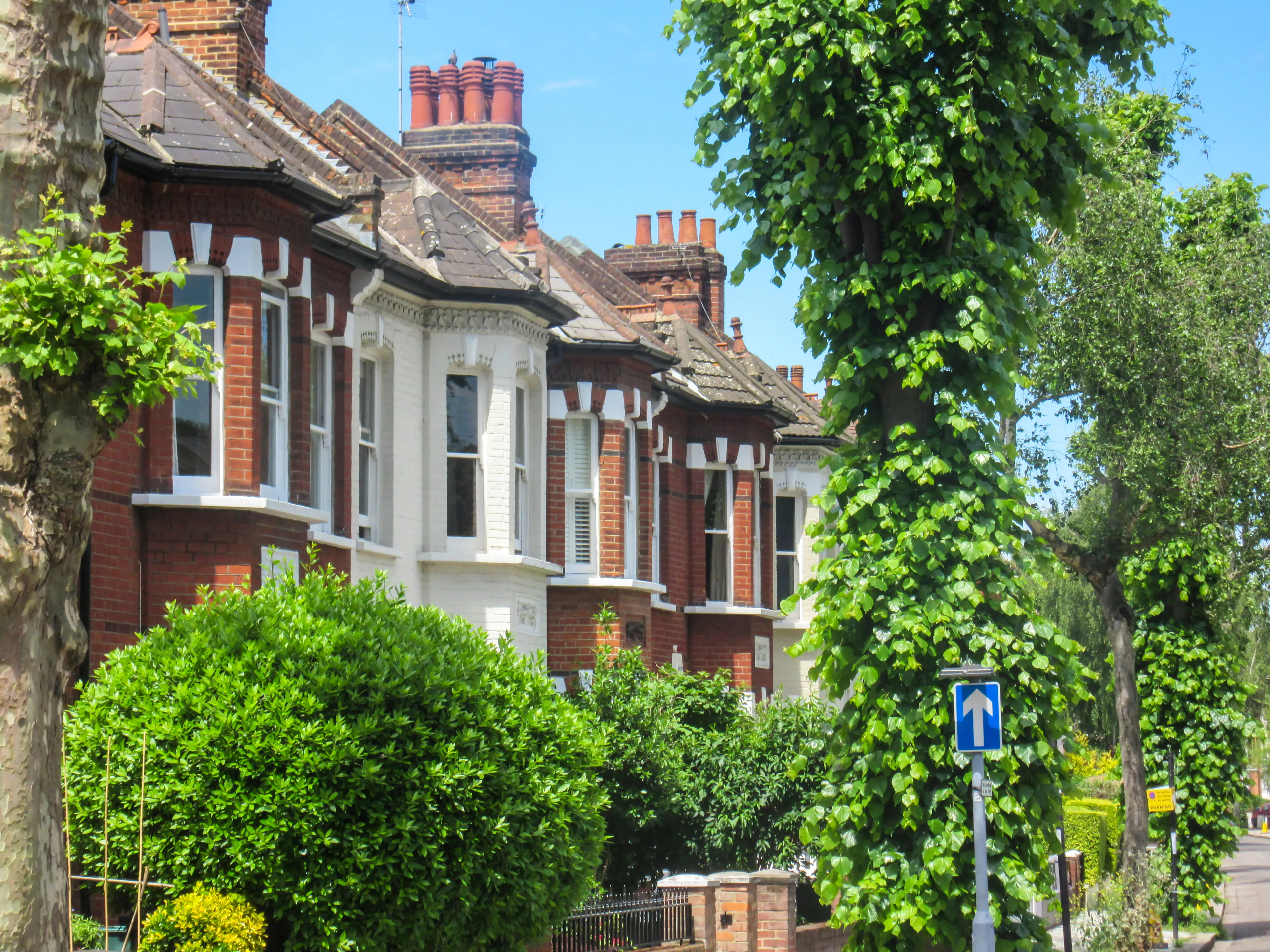 Row of terraced housing surrounded by mature trees in Chiswick, a leafy affluent district of west London.