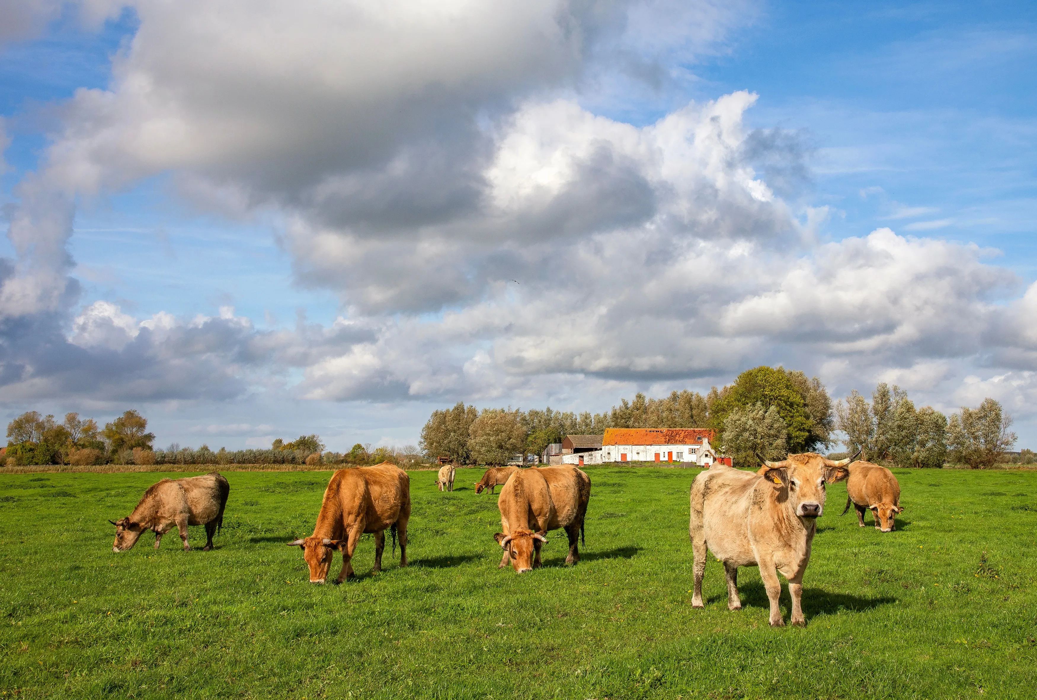 Best Jabbeke hotels. Cheap hotels in Jabbeke, Belgium