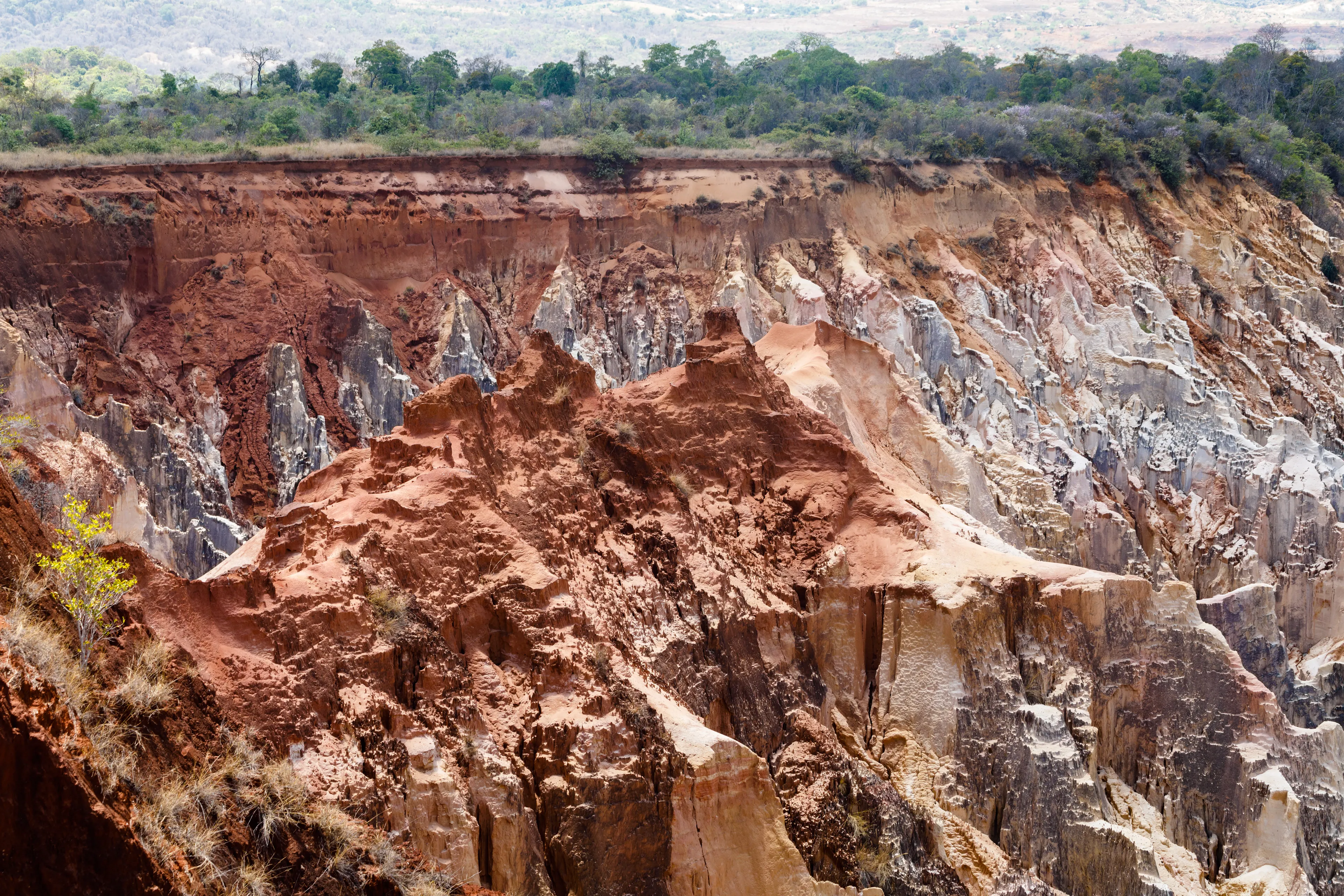 Beautiful famous Lavaka of Ankarokaroka erosion canyon in Ankarafantsika National Park, incredible moonscape with dry forest and lake, Boeny Region of Northwest Madagascar