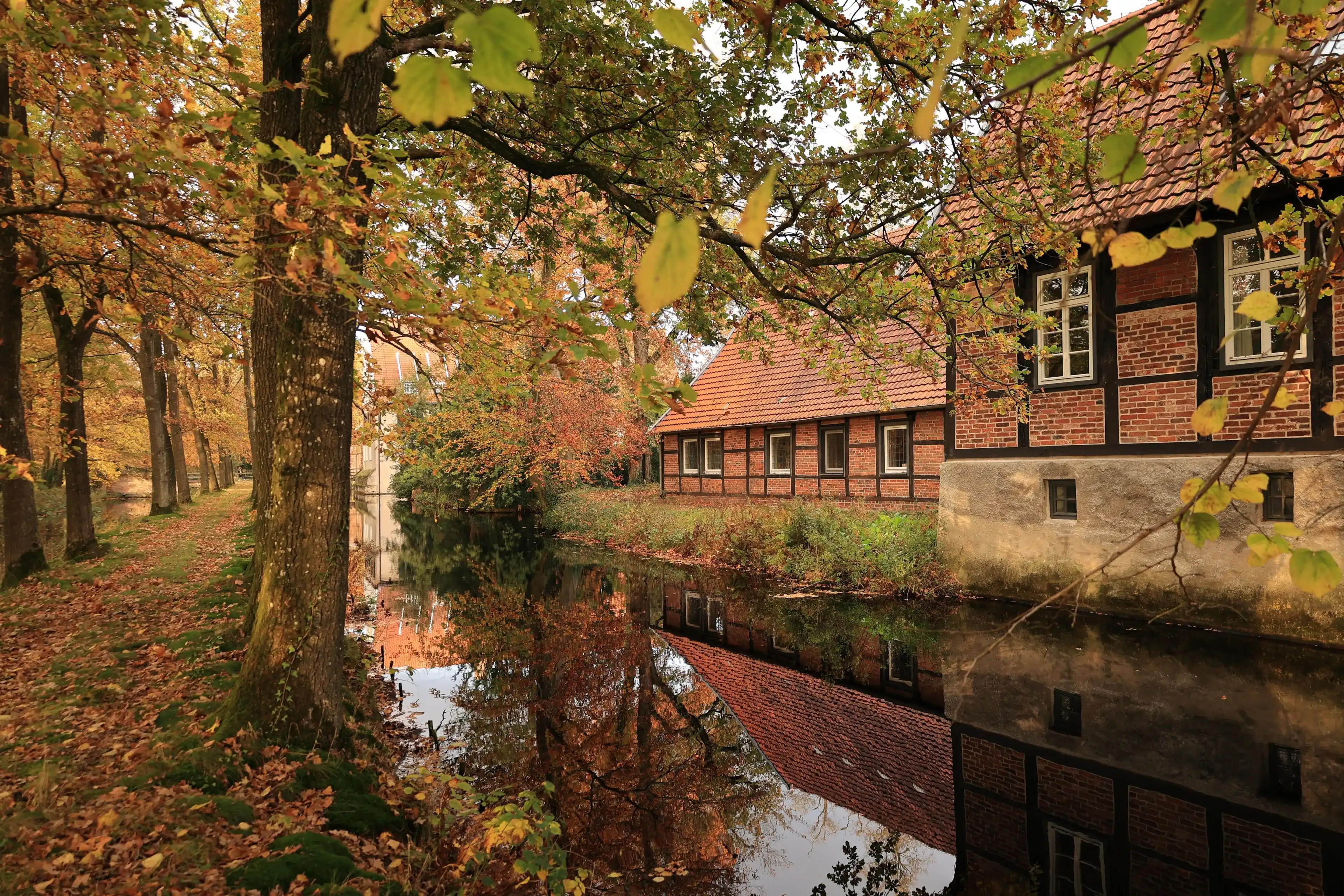 Best Dinklage hotels. Cheap hotels in Dinklage, Germany Best Dinklage hotels. Cheap hotels in Dinklage, Germany