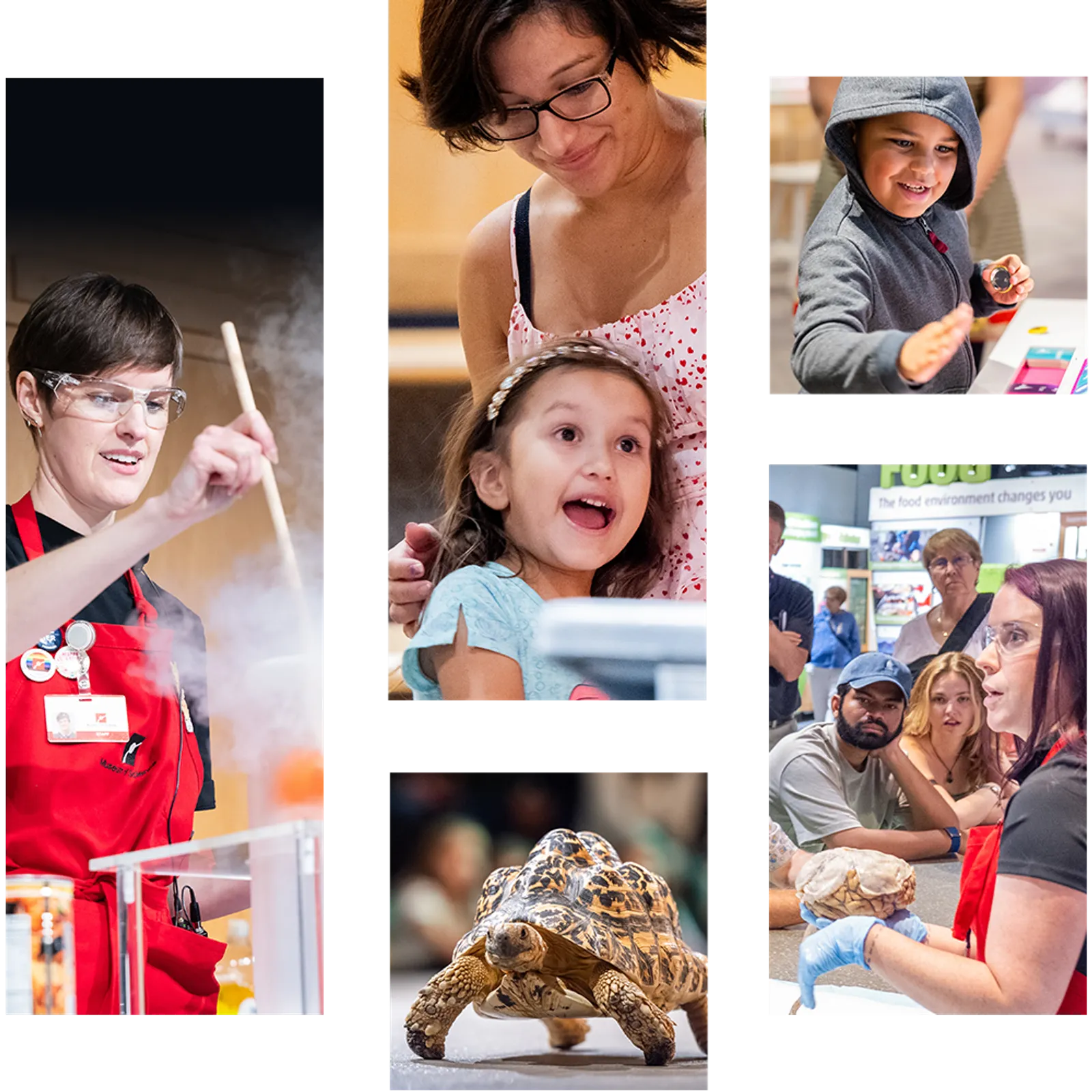 Museum of Science Website