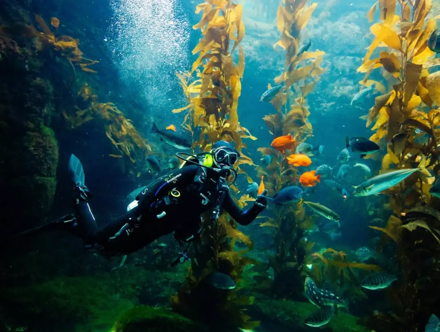 Birch Aquarium Instagram Birch Aquarium Instagram