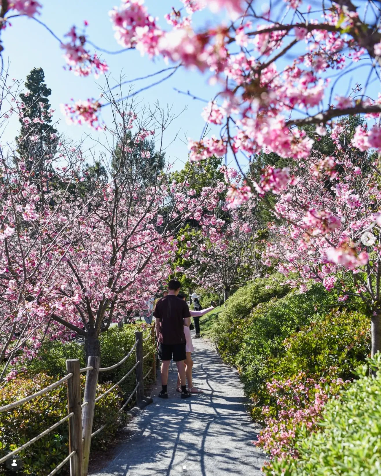 Balboa Park Instagram