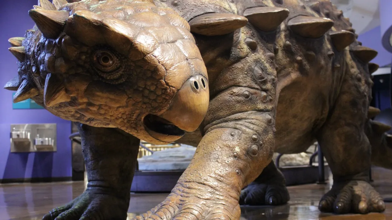 San Diego Natural History Museum Website