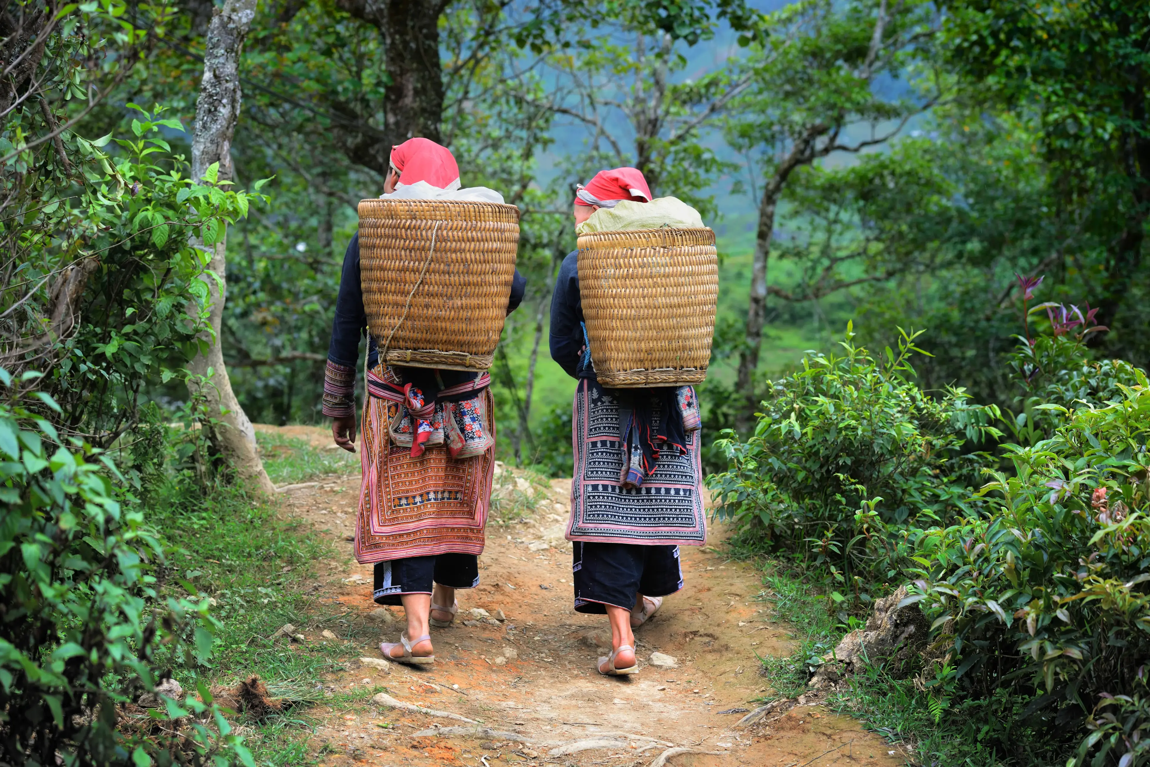 Hiking with the Hmong