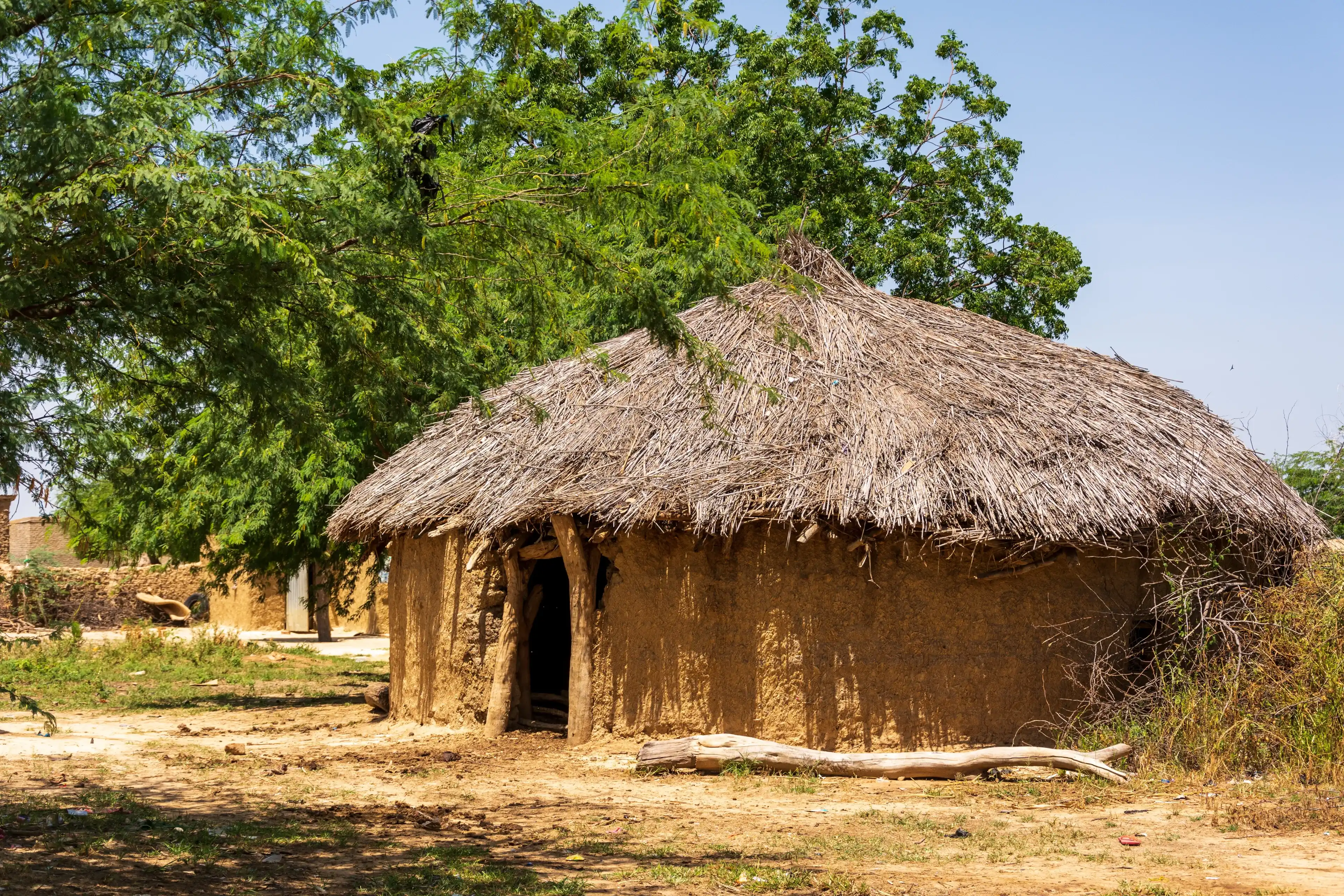 N'Djamena Chad Africa village shed hut tree barrack