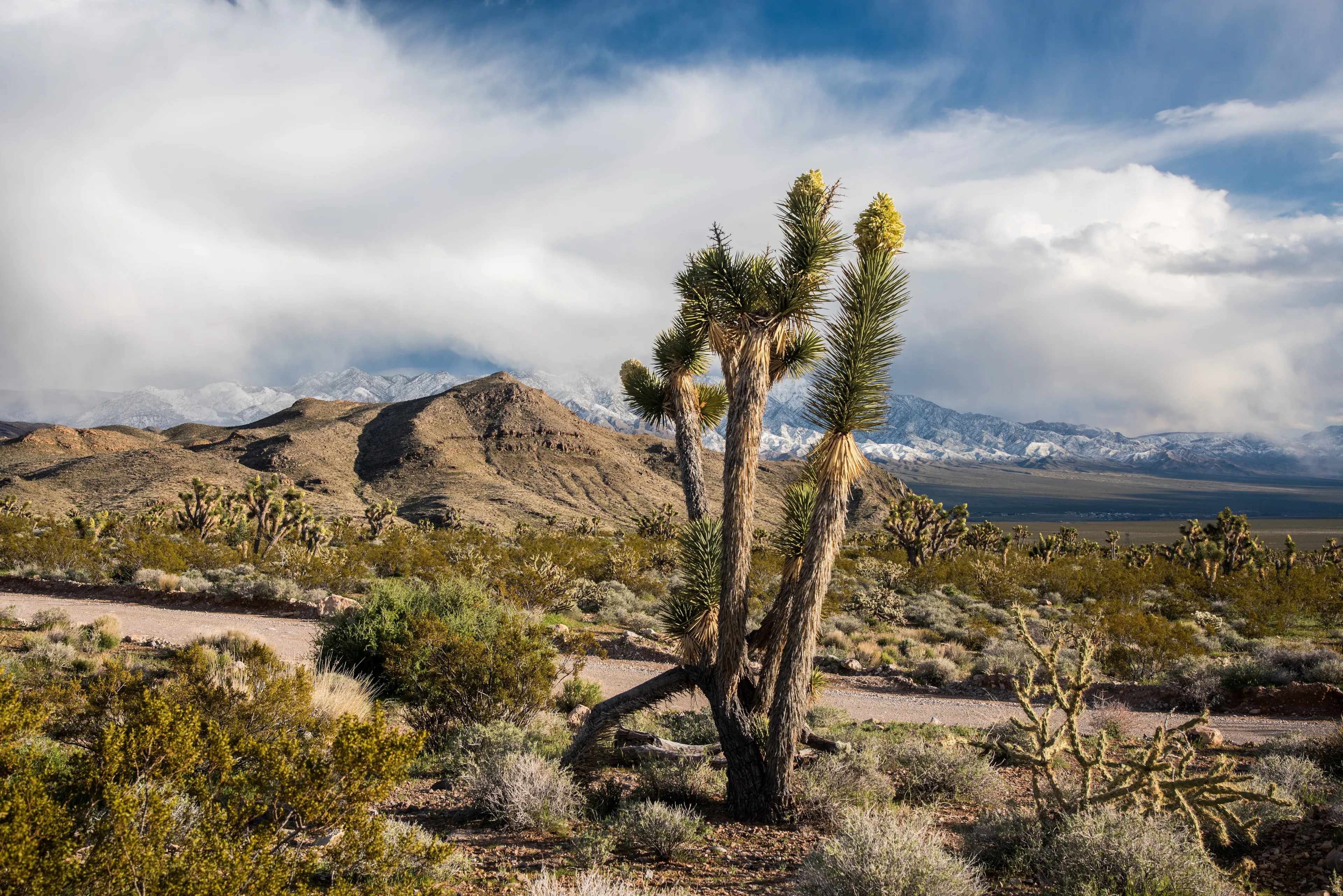  Best Beaver hotels. Cheap hotels in Beaver, Utah, United States