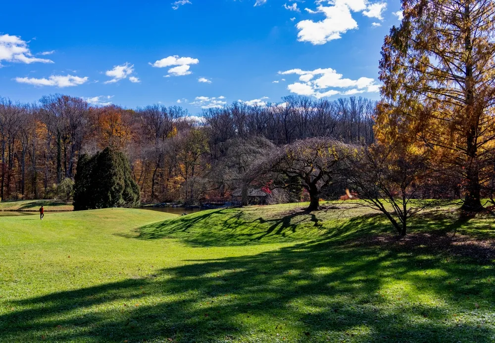 Silver Spring, Maryland, United States-November 12, 2024: Long shadows cast over rolling hills