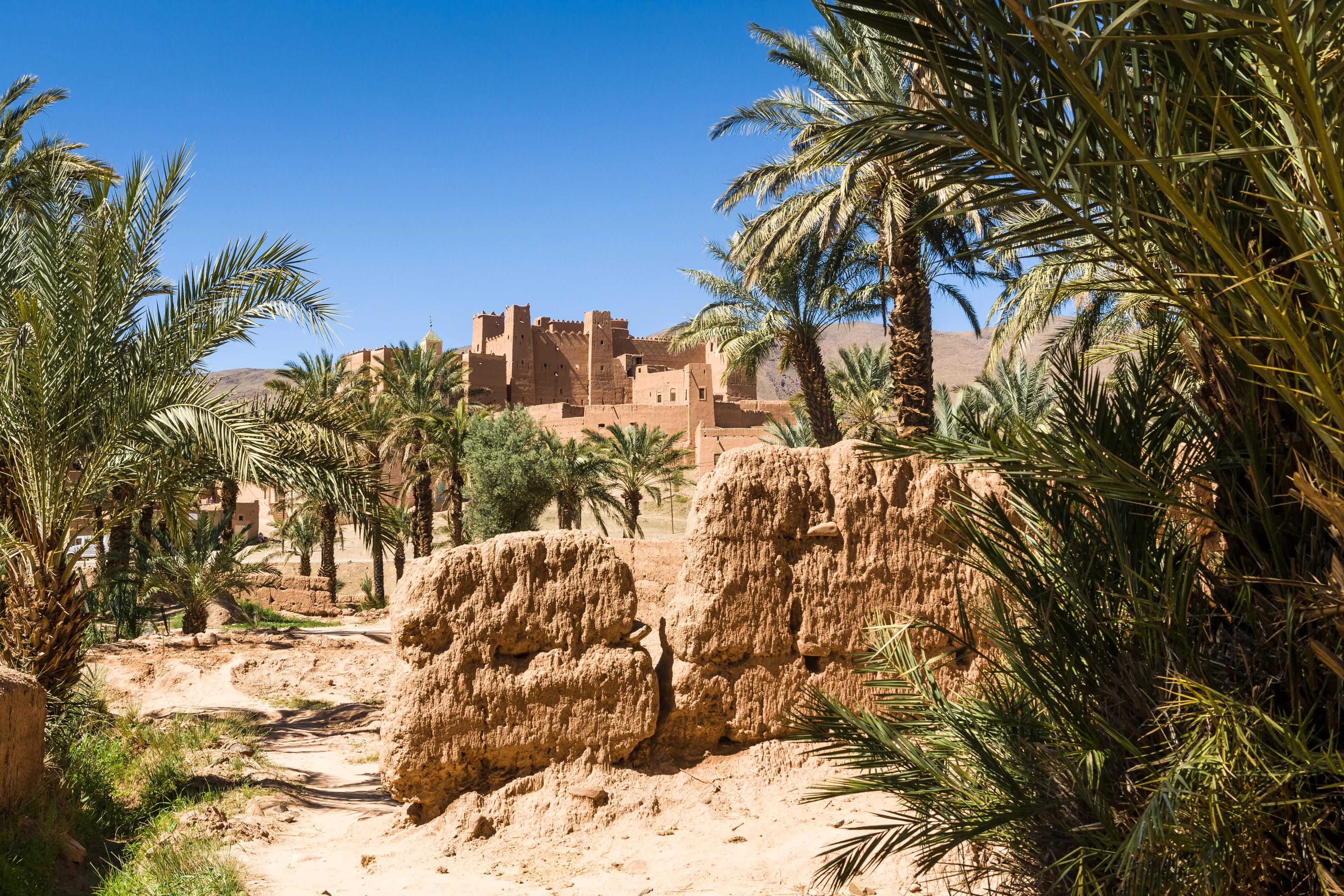 Palmeria at Kasbah Oulad Othmane at N9 between Agdz and Zagora, Morocco