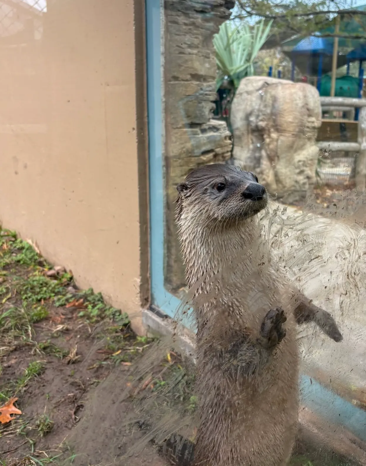 Houston Zoo Instagram