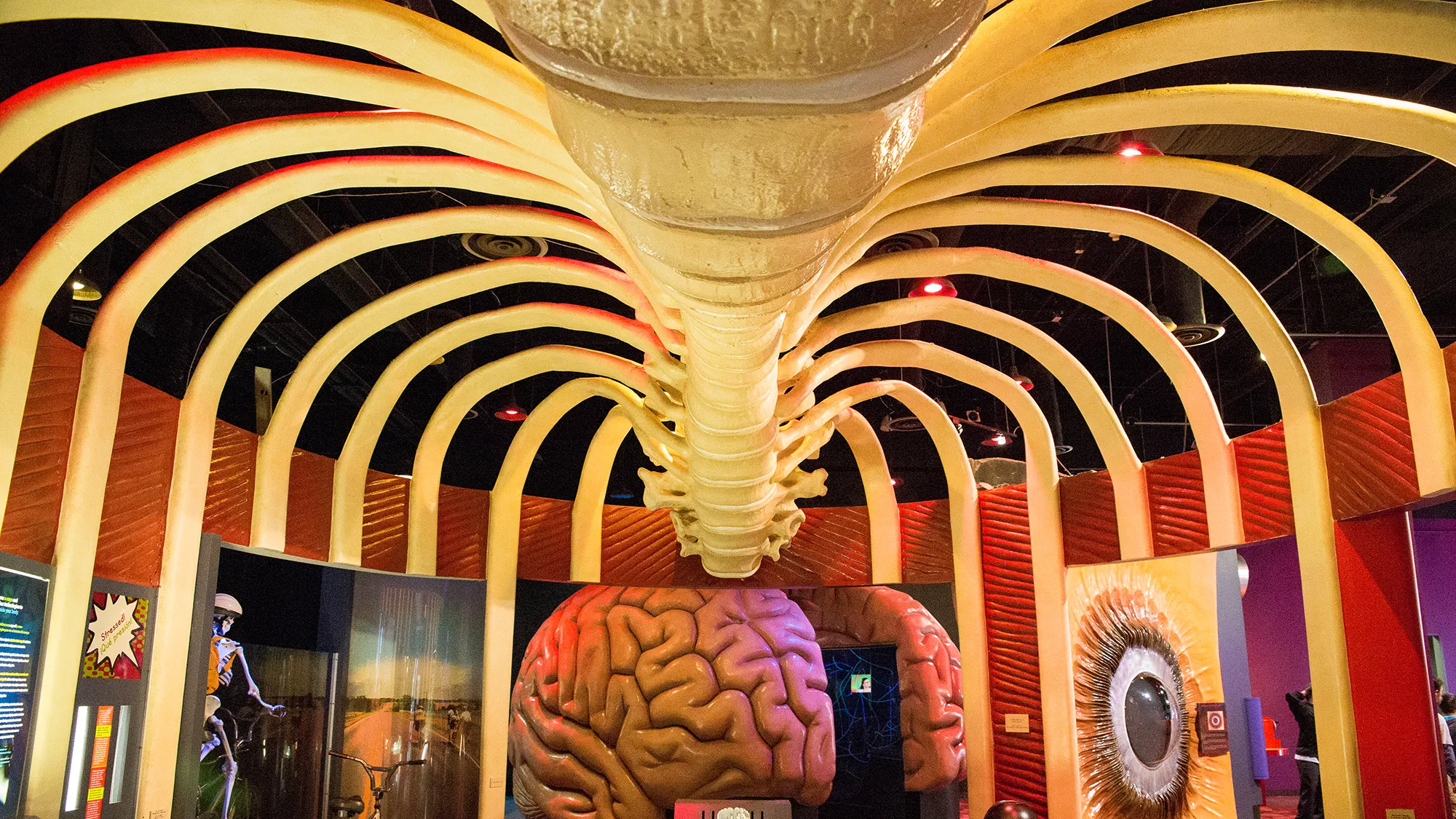 The Museum of Health and Medical Science Website