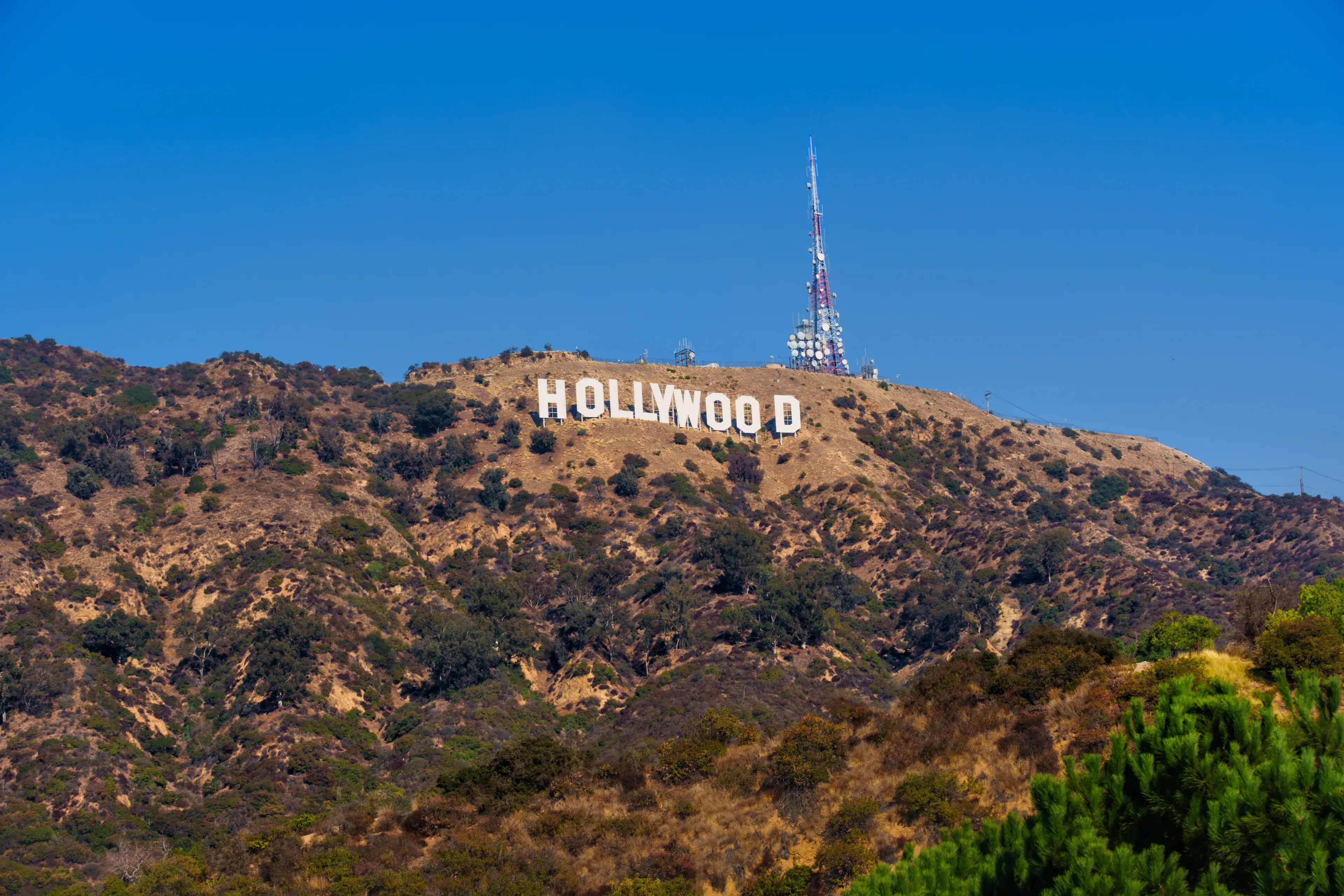 Los Angeles, California - January 9, 2025: The Hollywood Sign stands in stark colors against a clear sky, surrounded by dry hills, showcasing the impact of wildfires in California. Los Angeles, California - January 9, 2025: The Hollywood Sign stands in stark colors against a clear sky, surrounded by dry hills, showcasing the impact of wildfires in California.