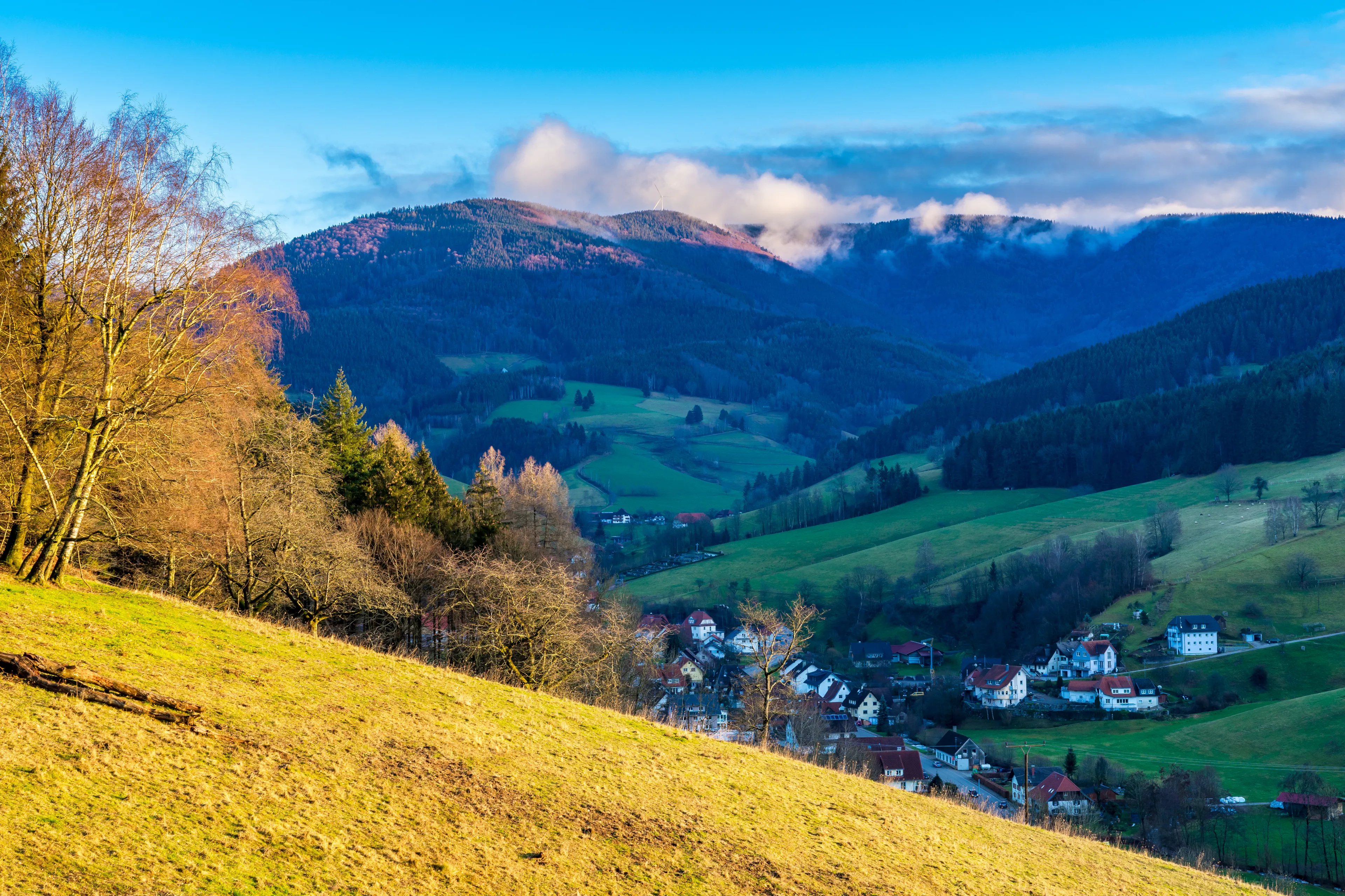 Best Elzach hotels. Cheap hotels in Elzach, Germany