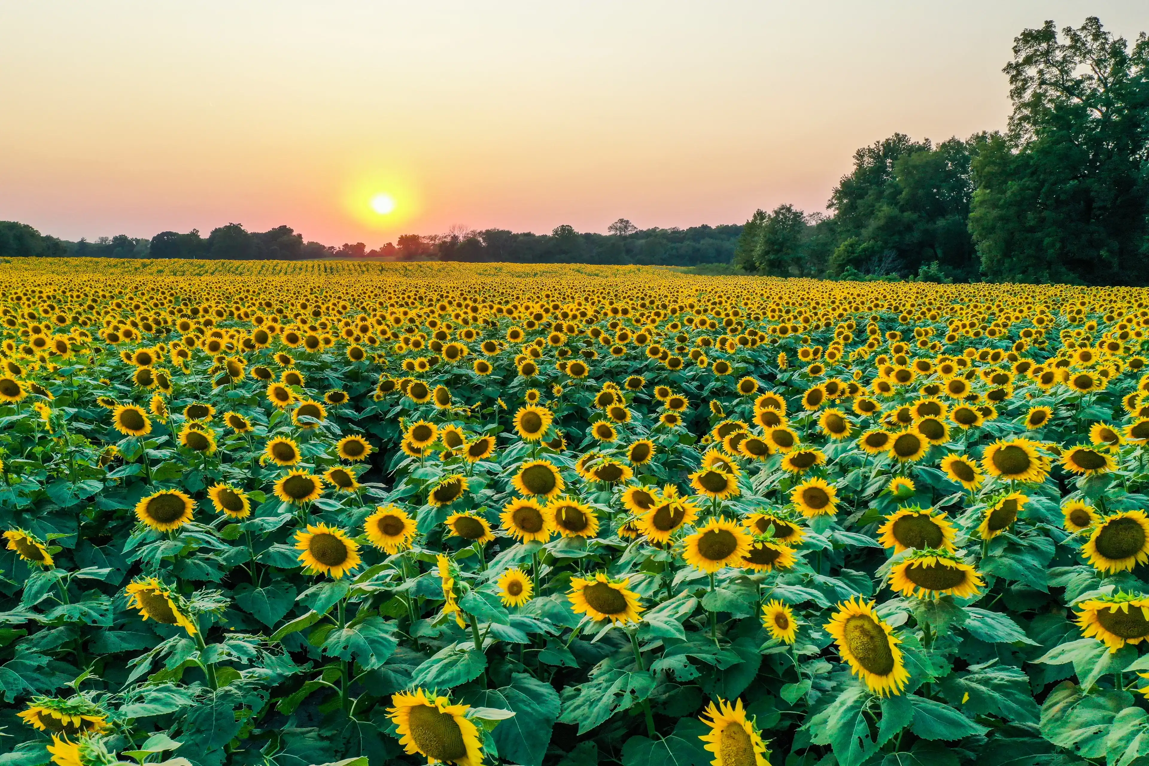 Kansas hotels. Best hotels in Kansas, United States Kansas hotels. Best hotels in Kansas, United States