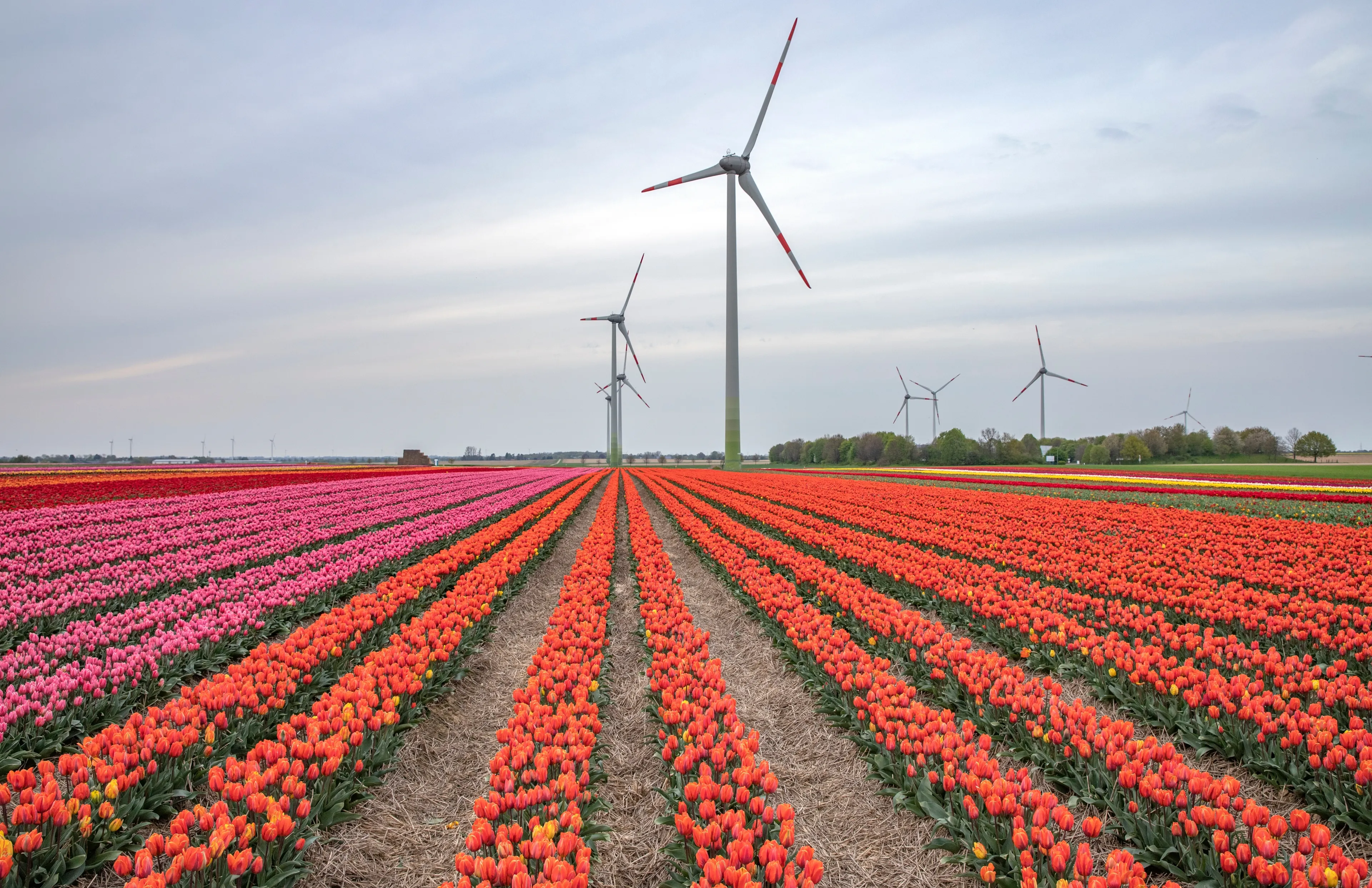 Best Grevenbroich hotels. Cheap hotels in Grevenbroich, Germany