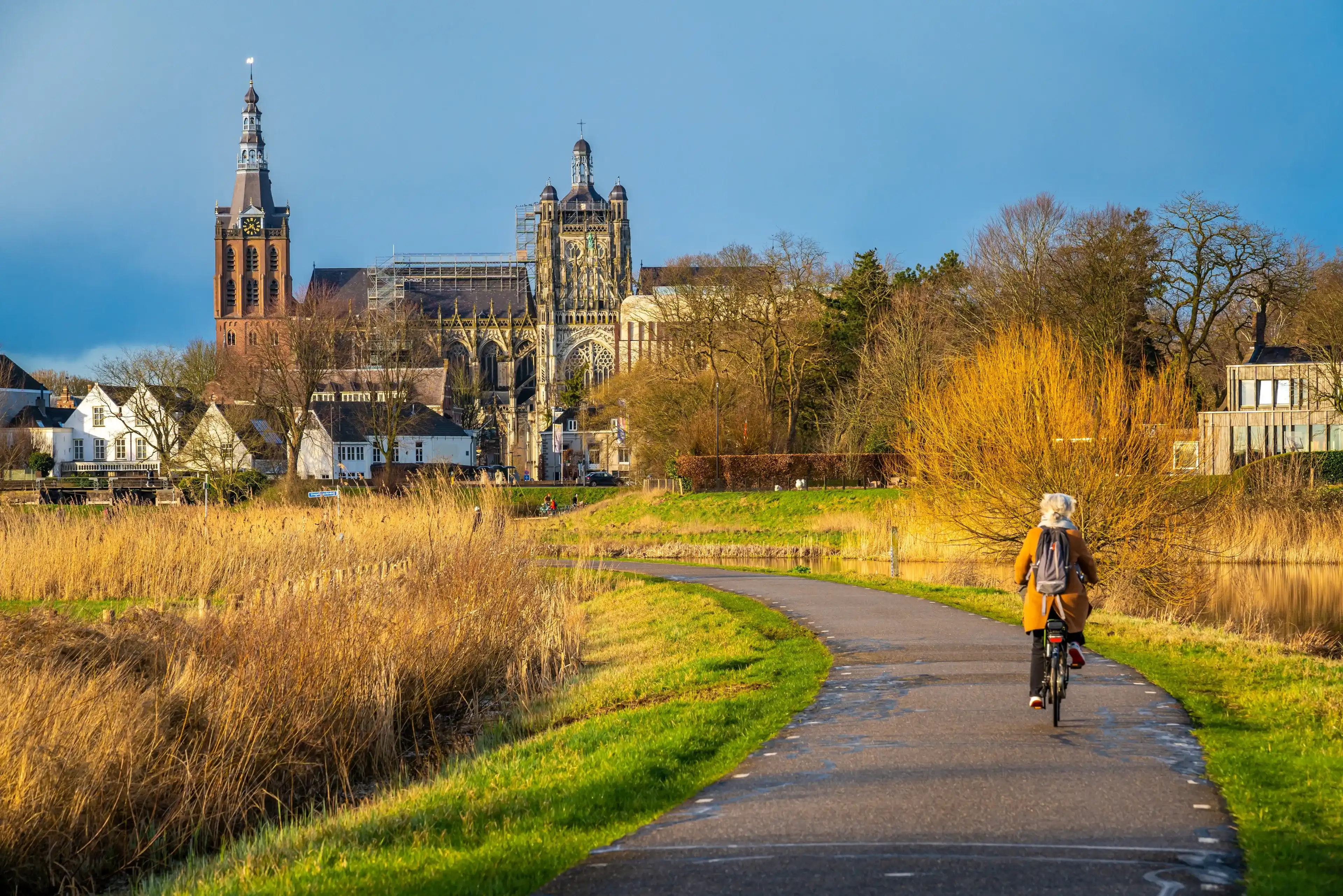 St. John's Cathedral in 's-Hertogenbosch seen from Bossche Broek nature reserve St. John's Cathedral in 's-Hertogenbosch seen from Bossche Broek nature reserve