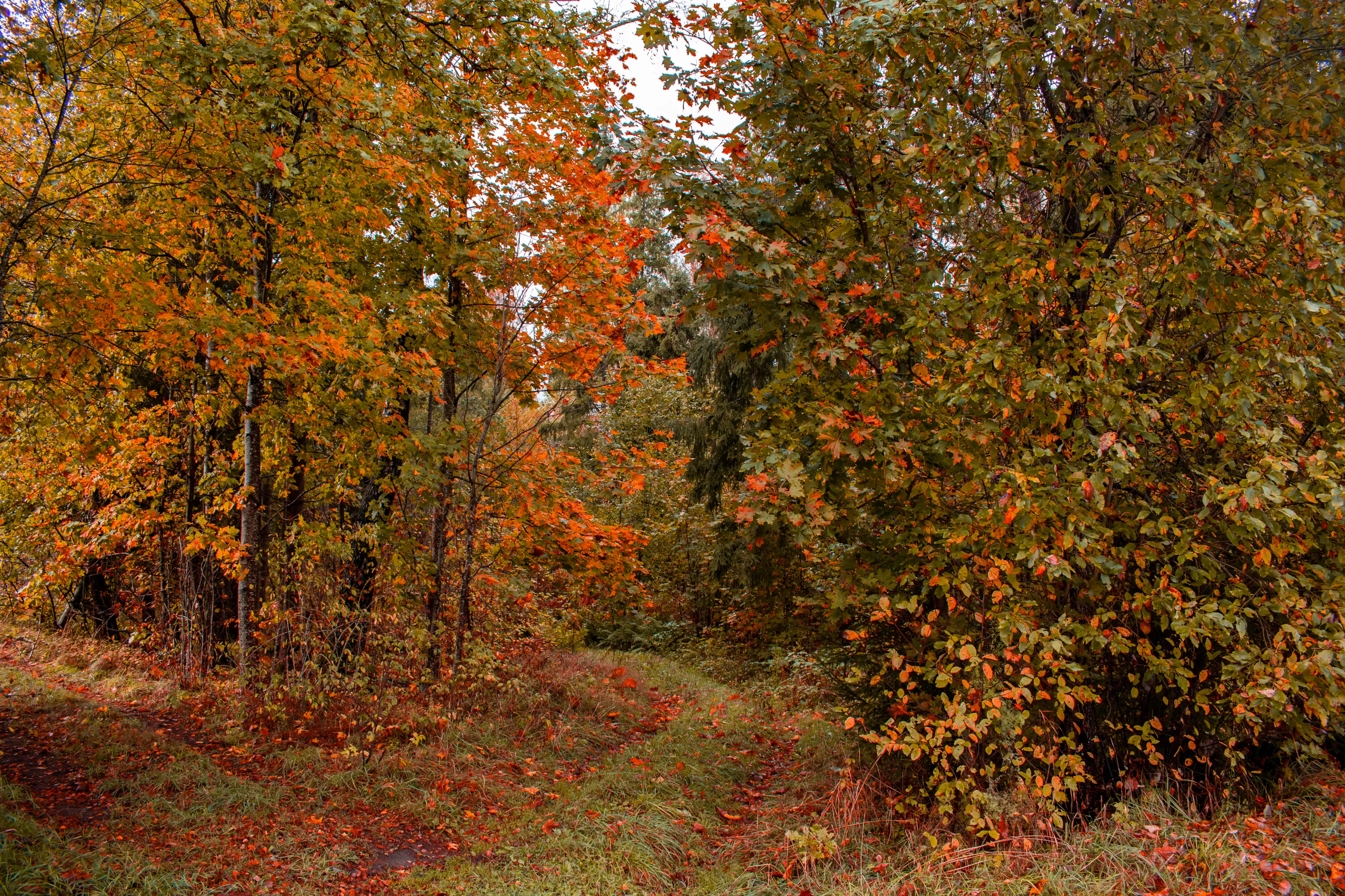 Limbažu novads hotels. Best hotels in Limbažu novads, Latvia