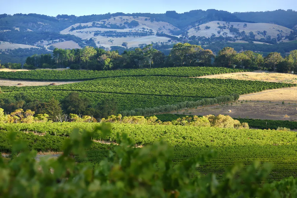McLaren Vale, South Australia Wine region