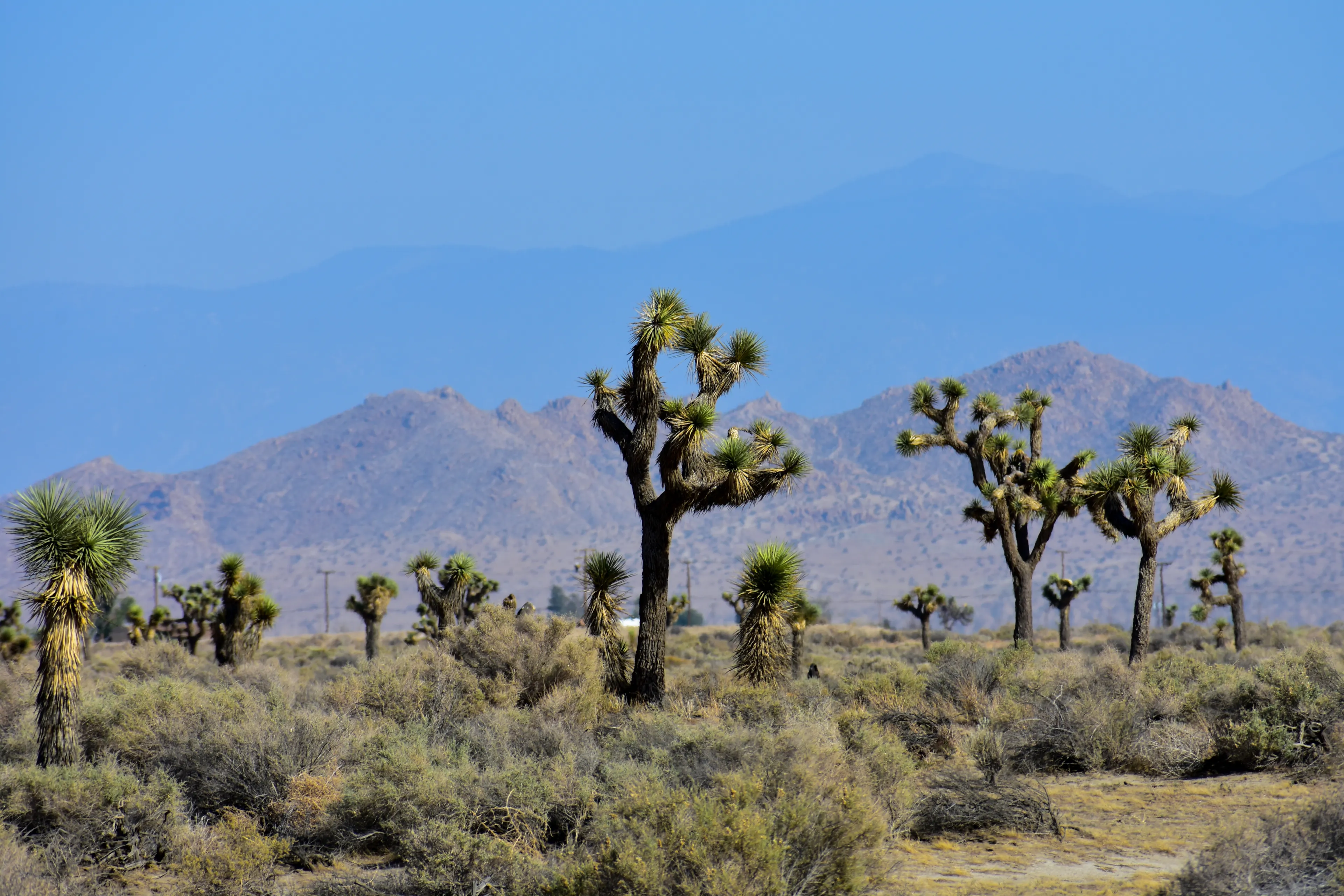 Best Lancaster hotels. Cheap hotels in Lancaster, California, United States