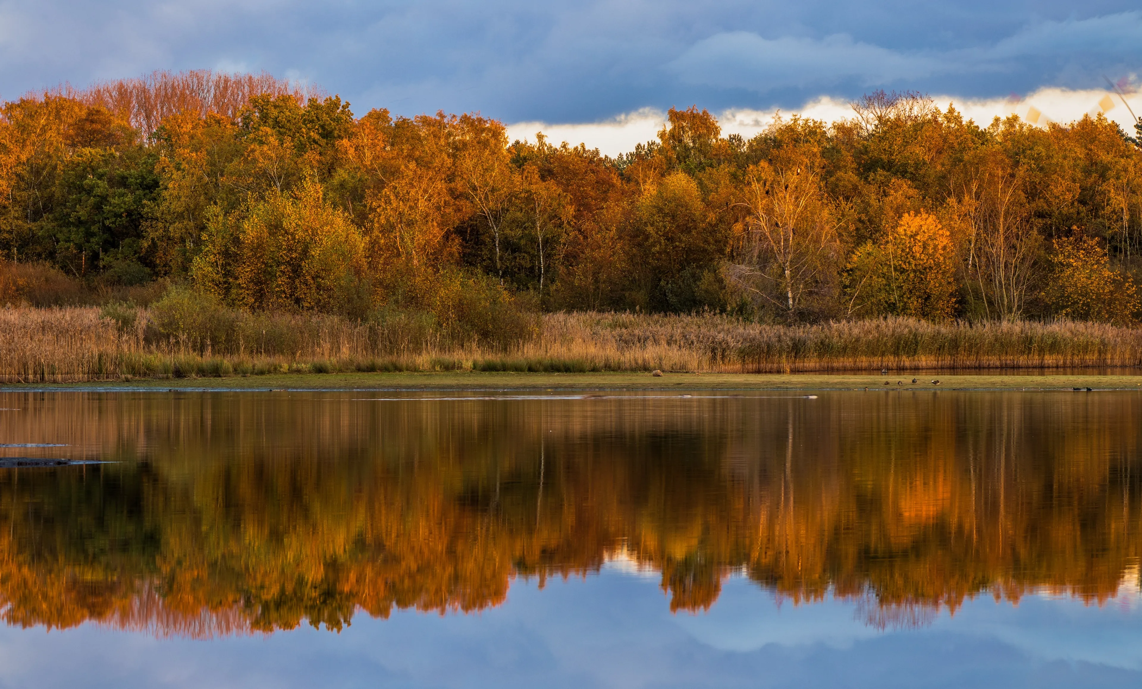 Nature reservation De Maten in Diepenbeek Belgium.