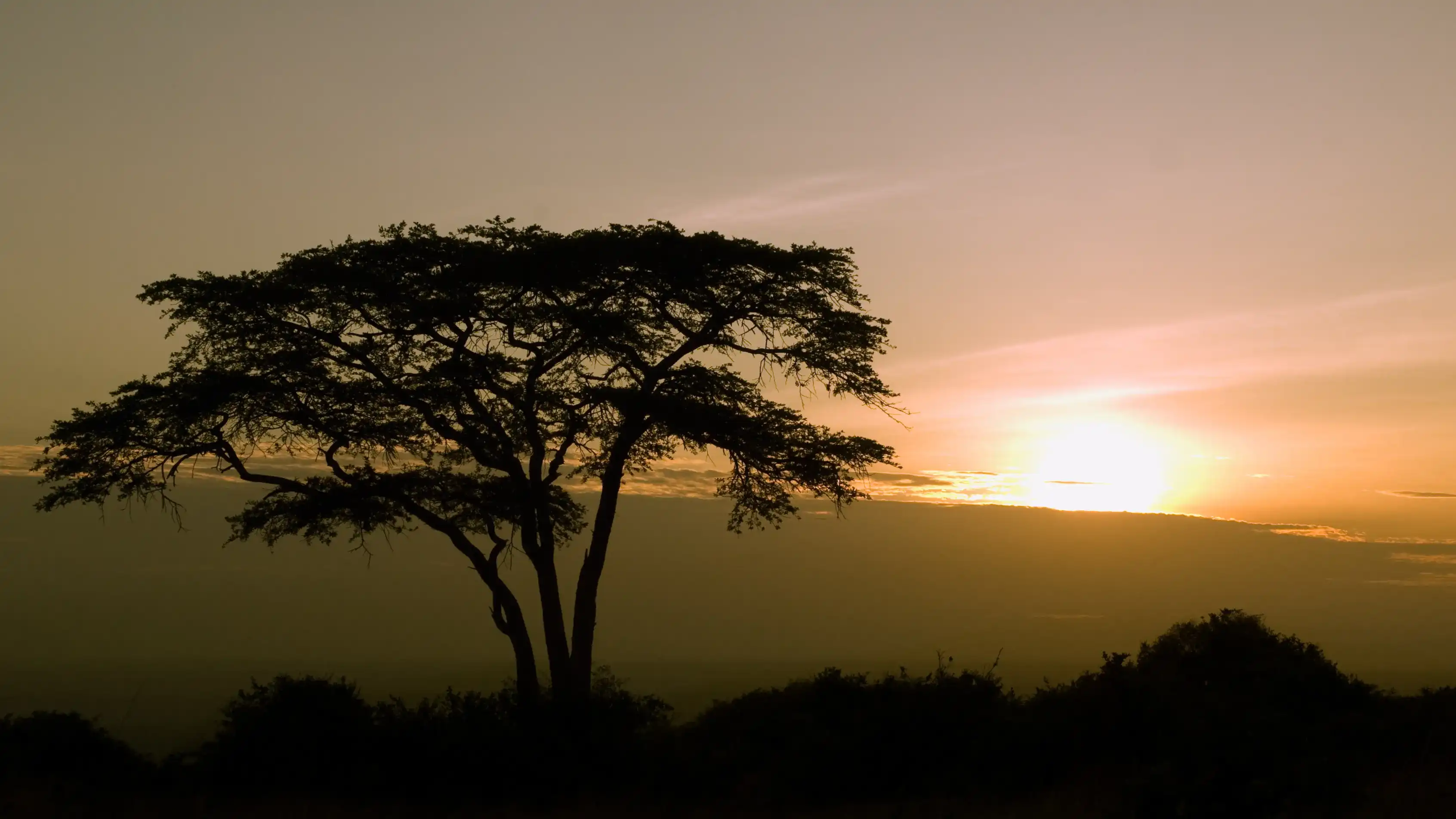 sunrise in nairobi national park