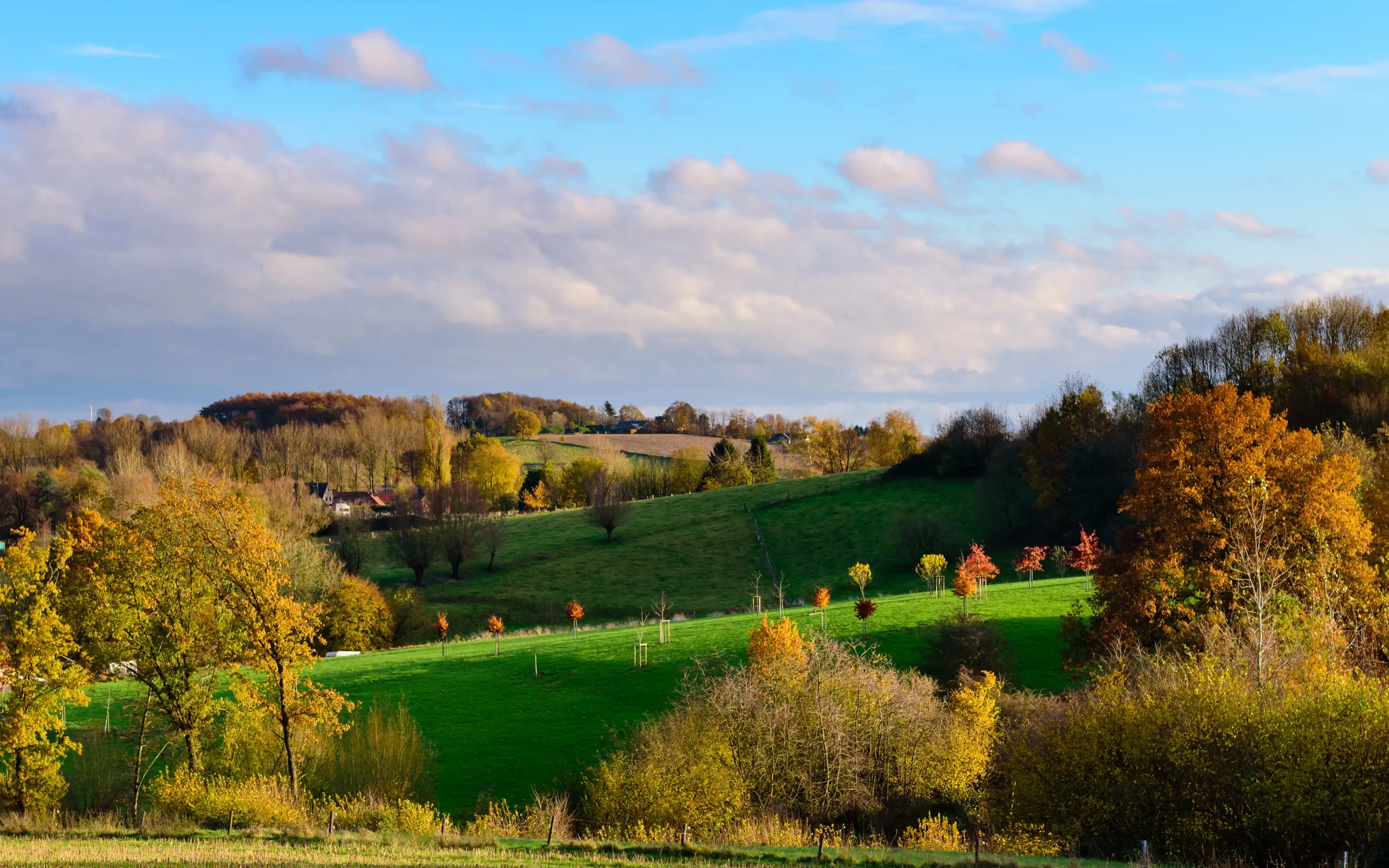 Belgium countryside - colorful landscape with autumn colors during sunset near Flobecq and Ellezelles. Hainault province - Belgium.