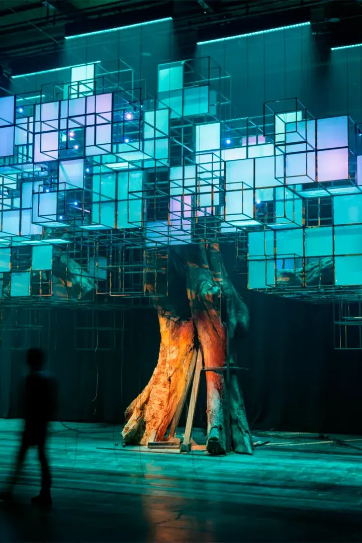 Superblue Official Website Superblue Official Website