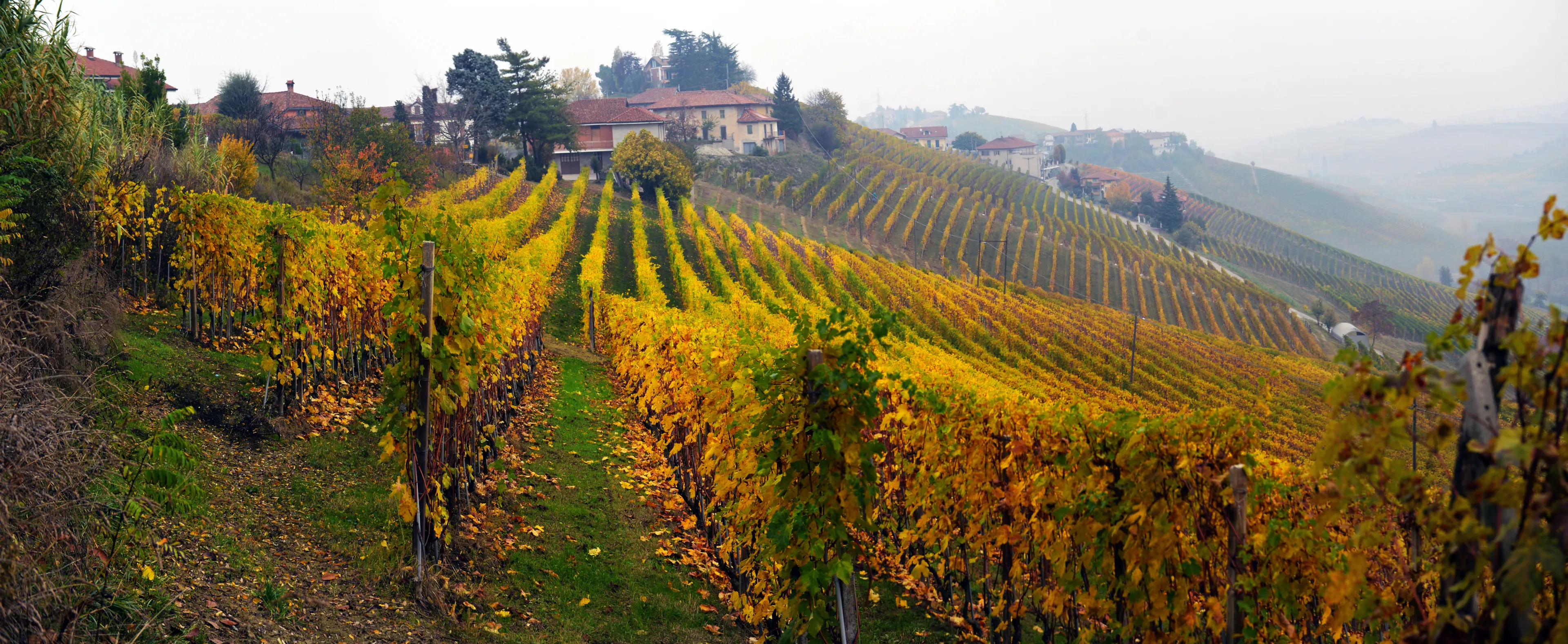 Piemonte hotels. Best hotels in Piemonte, Italy