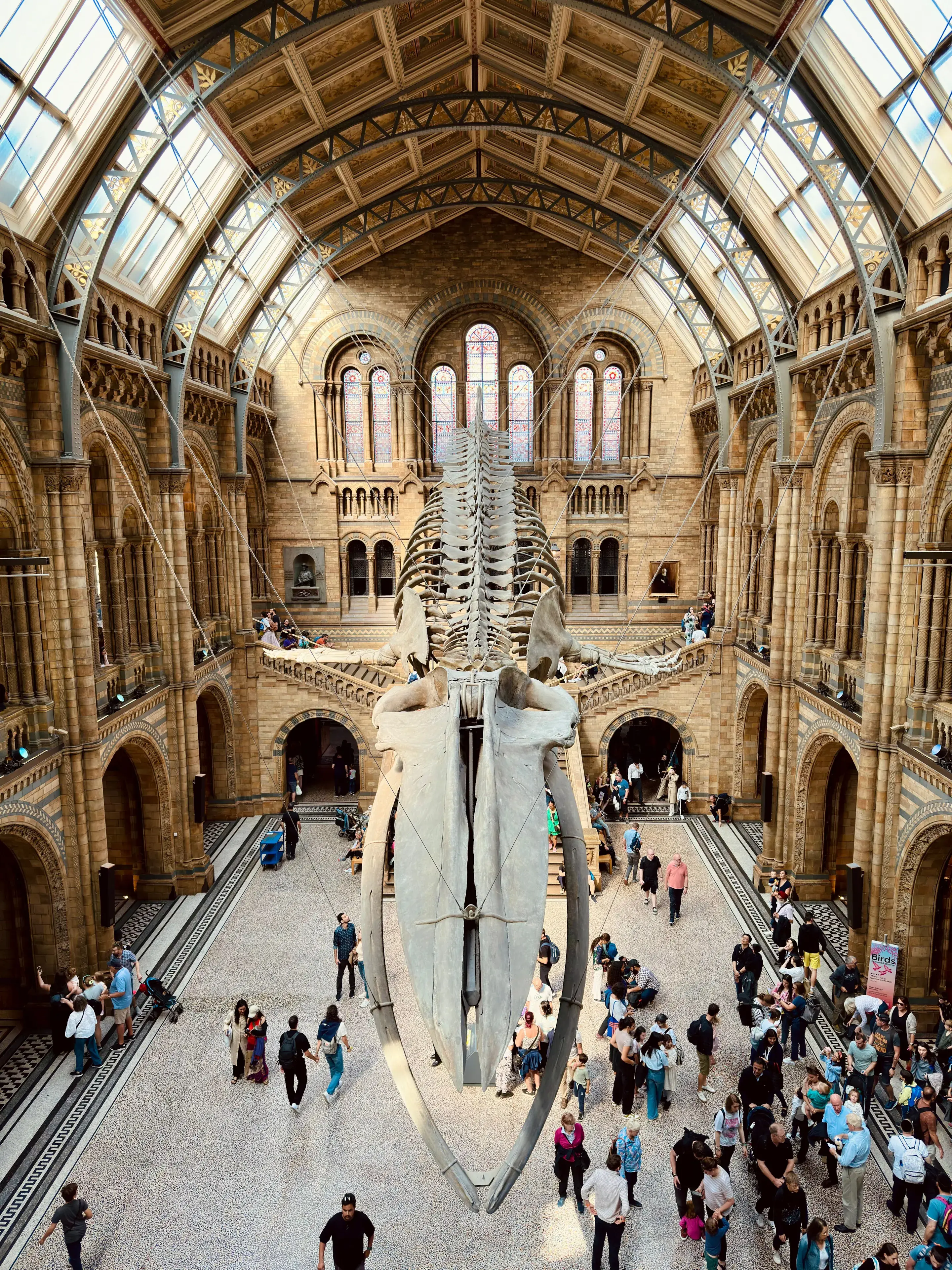 Interior of the Natural History Museum in London featuring a blue whale skeleton and visitors Interior of the Natural History Museum in London featuring a blue whale skeleton and visitors