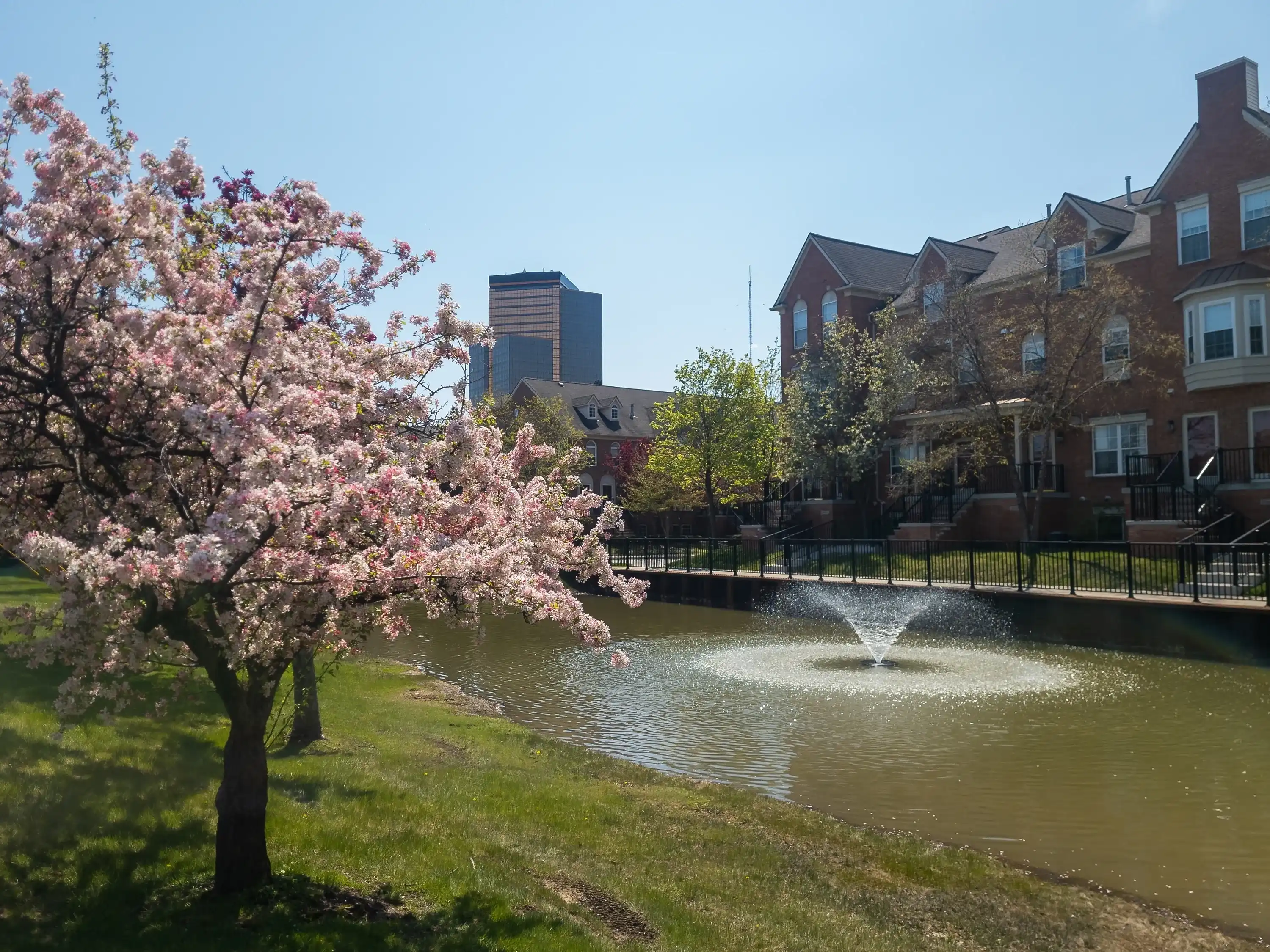 Southfield, MI, USA- May 5, 2023: Pink Cherry blossom trees in front of a fountain and townhomes in downtown Southfield, Michigan on a clear day in spring.