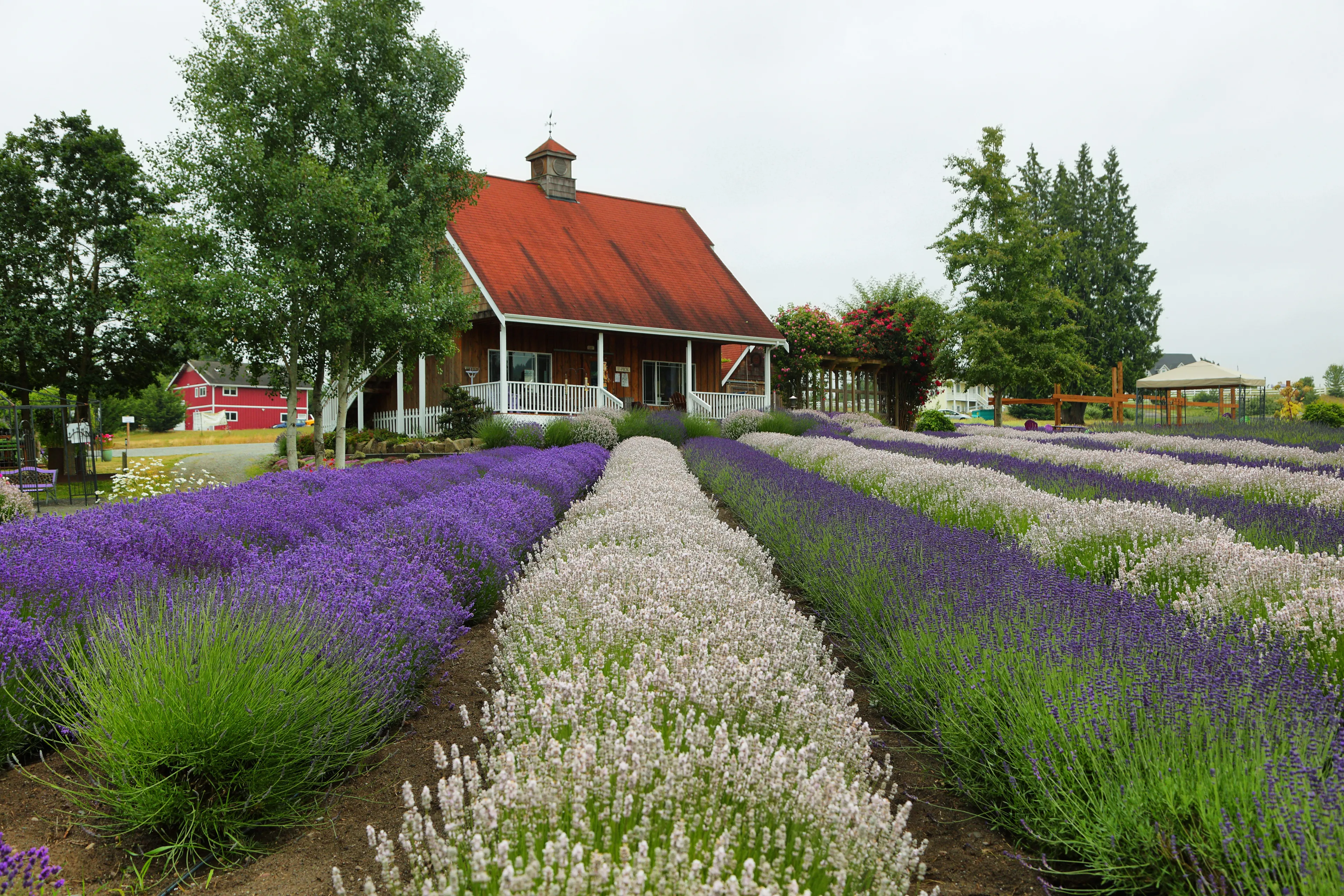 Best Sequim hotels. Cheap hotels in Sequim, Washington, United States