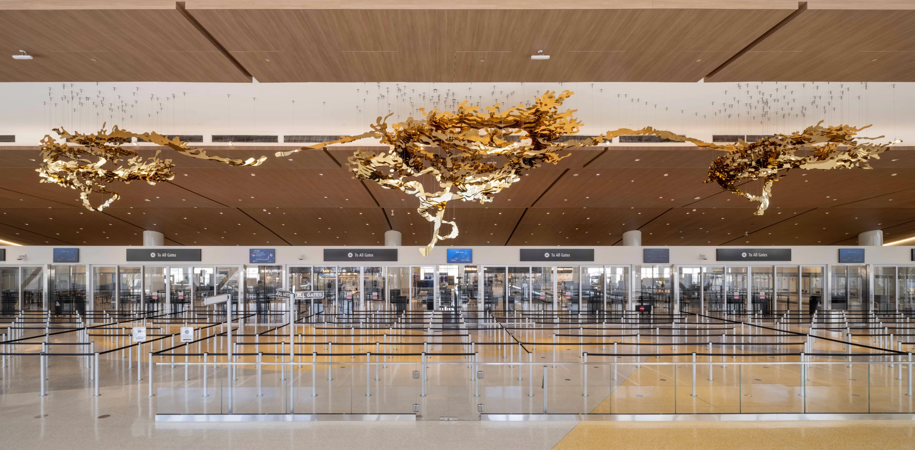 San Diego International Airport Website