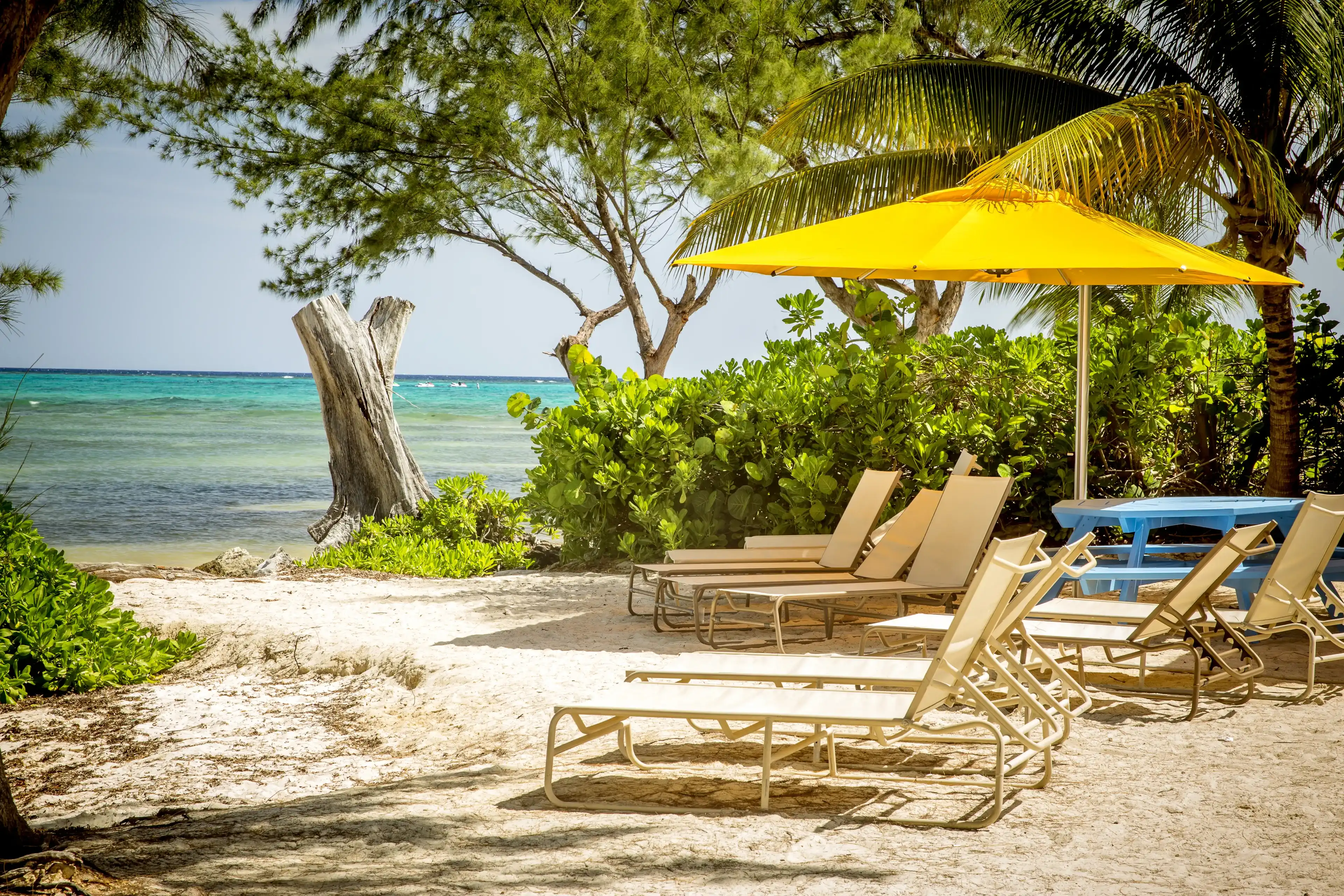 Cayman Islands hotels. Best hotels in the Cayman Islands