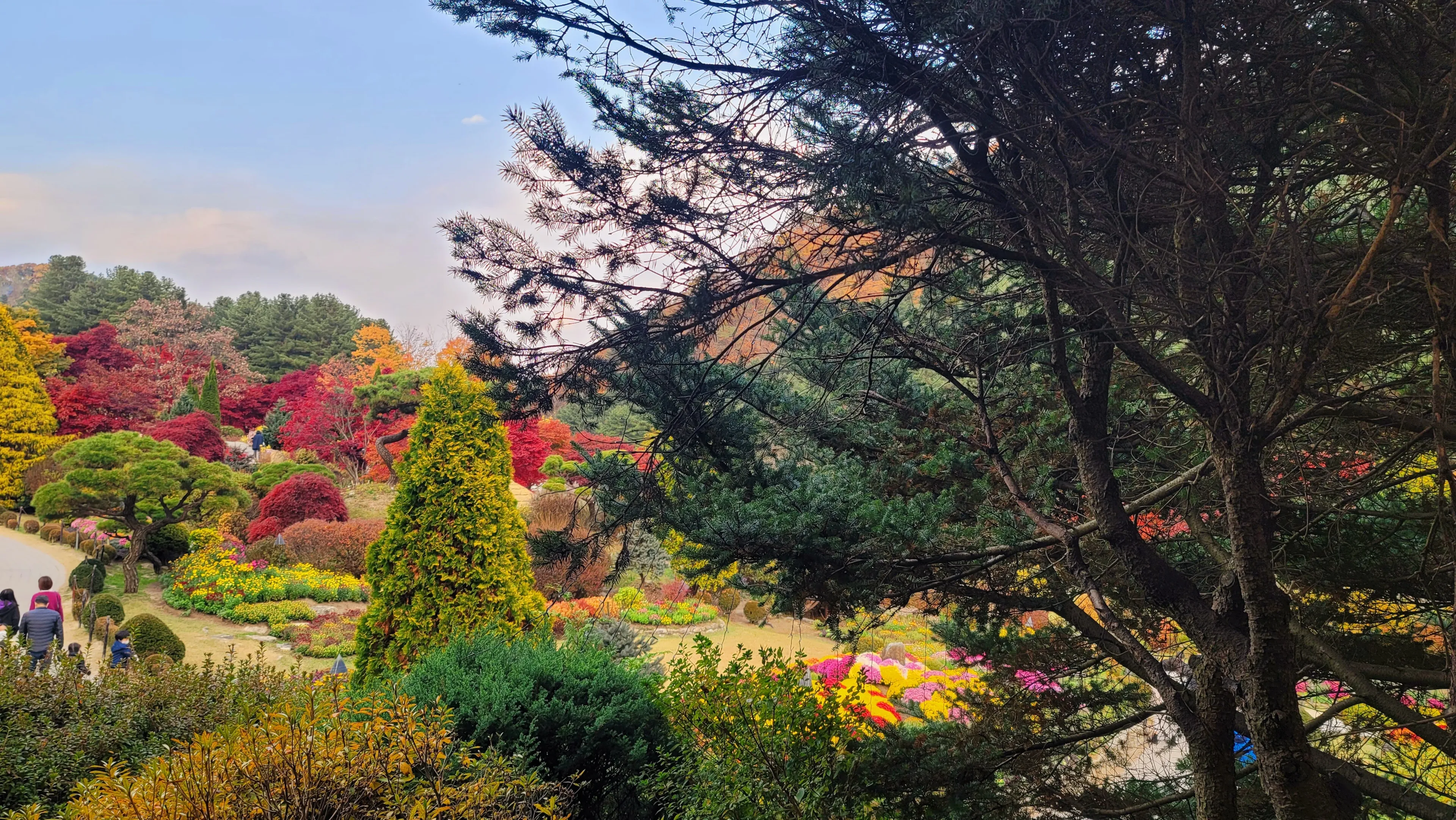 A beautiful view of the Garden of Morning captured at Autumn in Asan City in South Korea