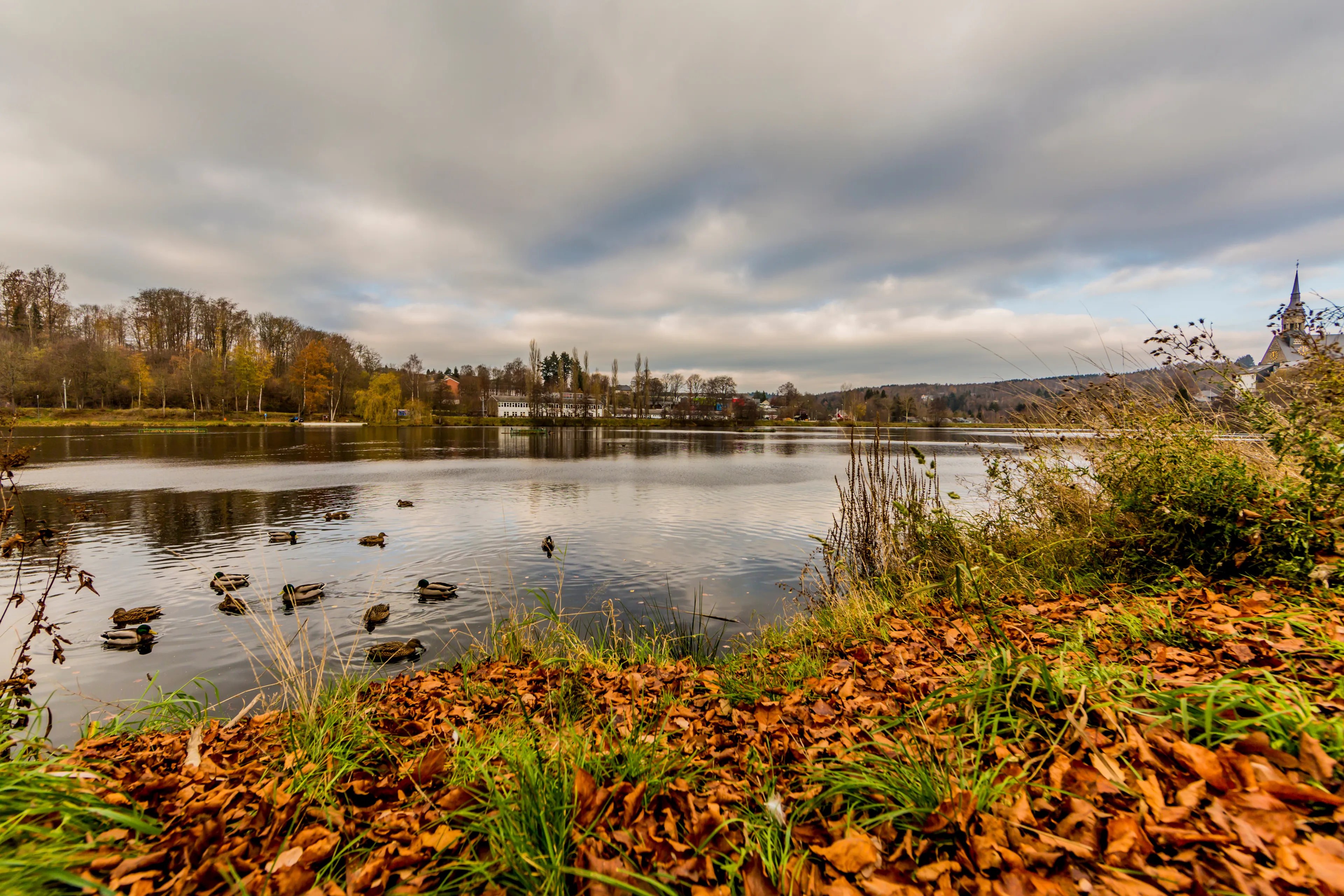 Best Vielsalm hotels. Cheap hotels in Vielsalm, Belgium