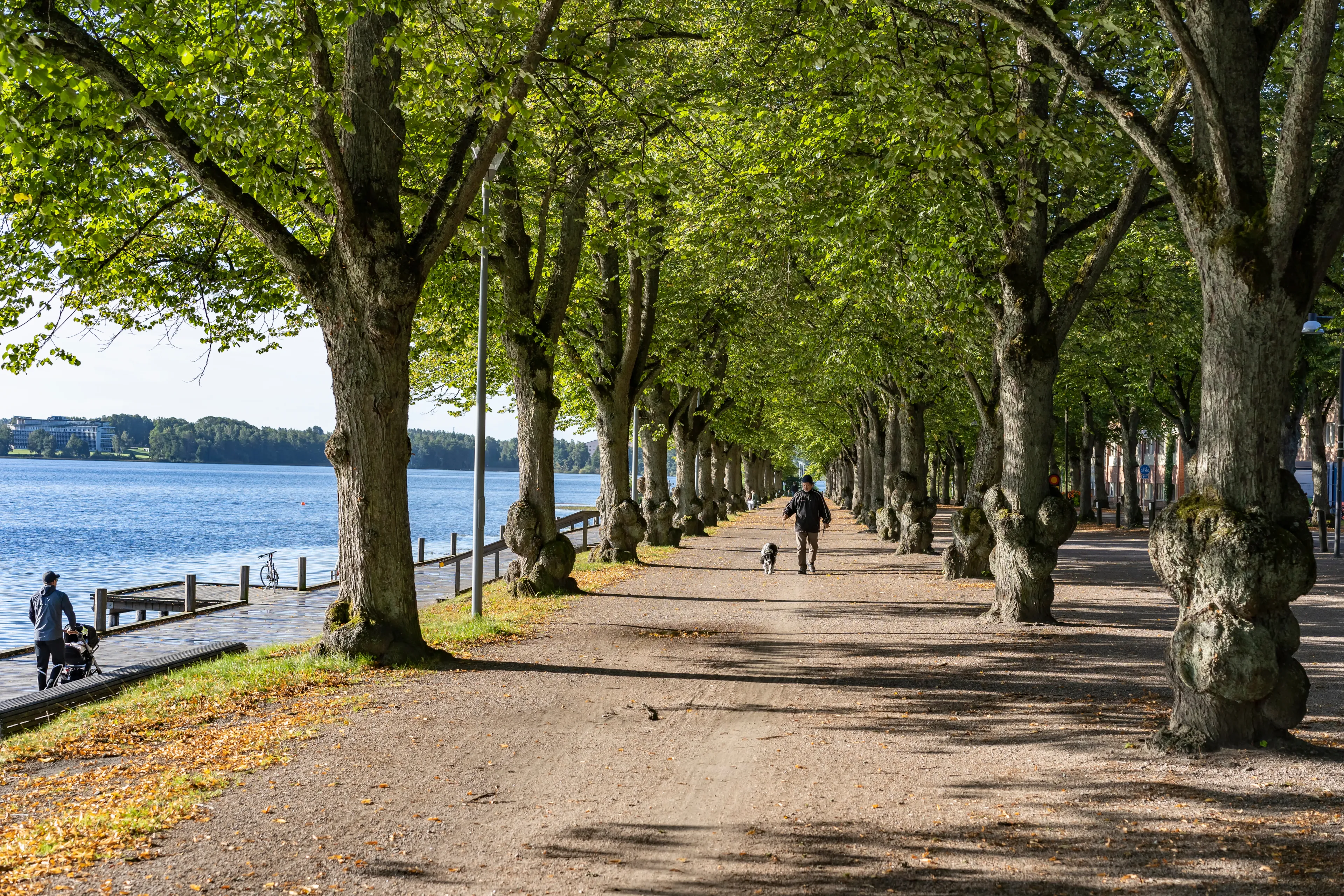 Kronoberg hotels. Best hotels in Kronoberg, Sweden