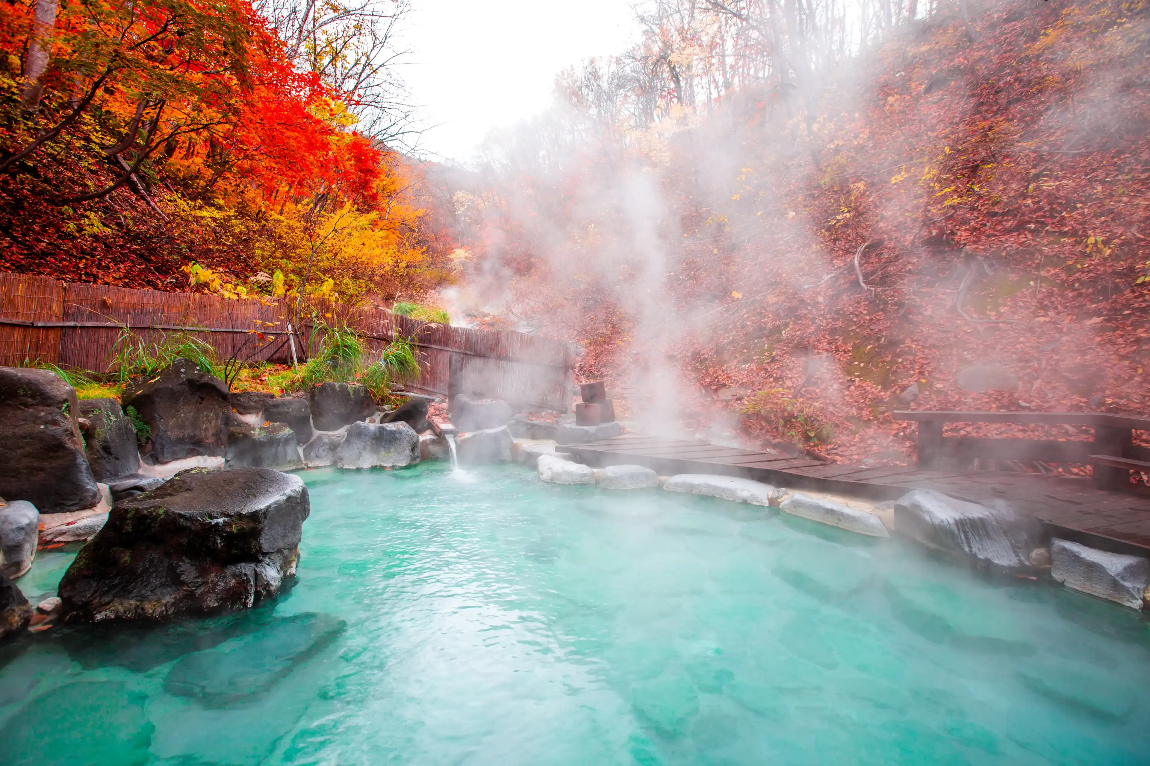 Japanese Hot Springs Onsen Natural Bath Surrounded by red-yellow leaves. In fall leaves fall in Yamagata. Japan.