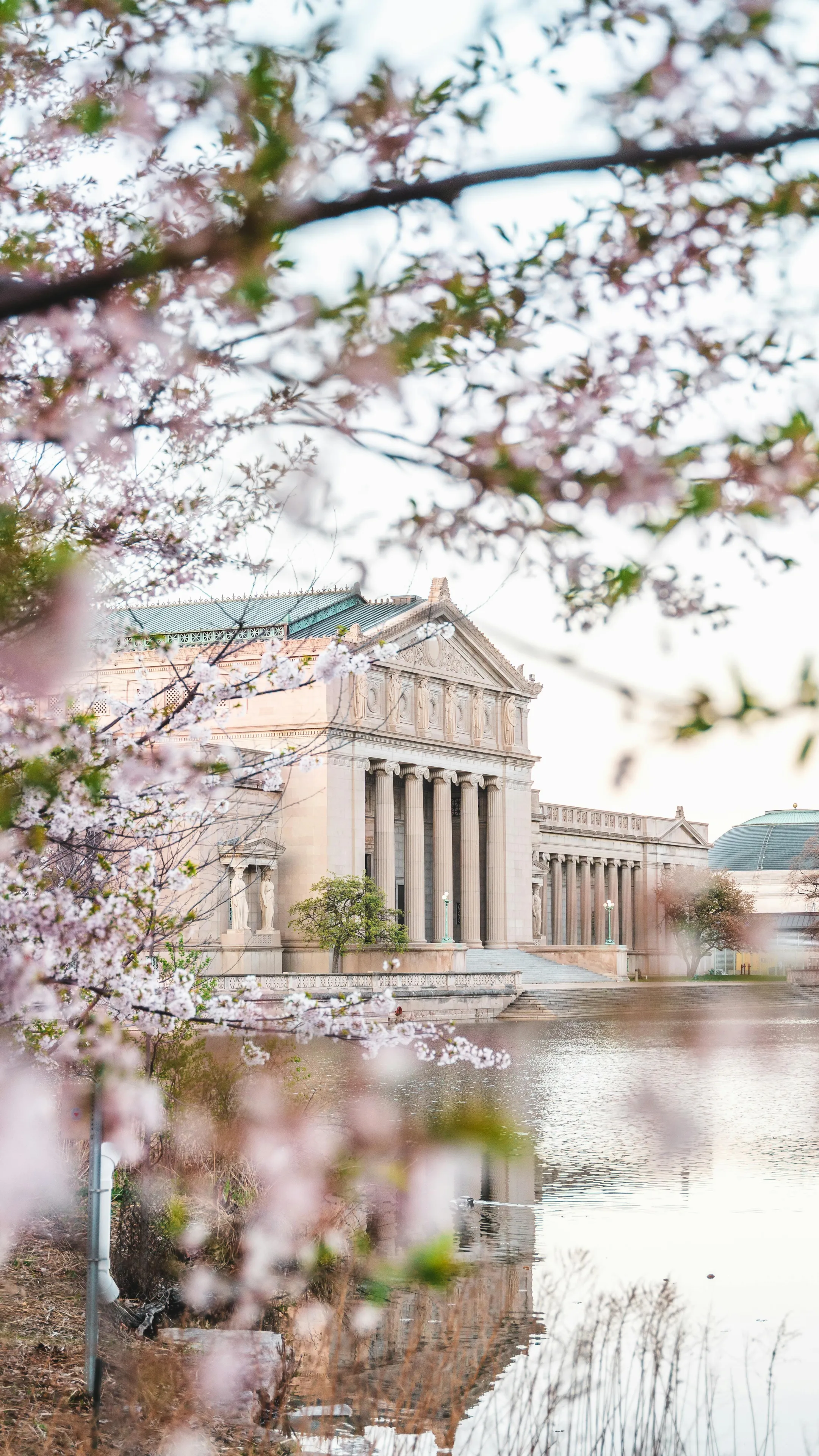 Brown Concrete Building with Columns