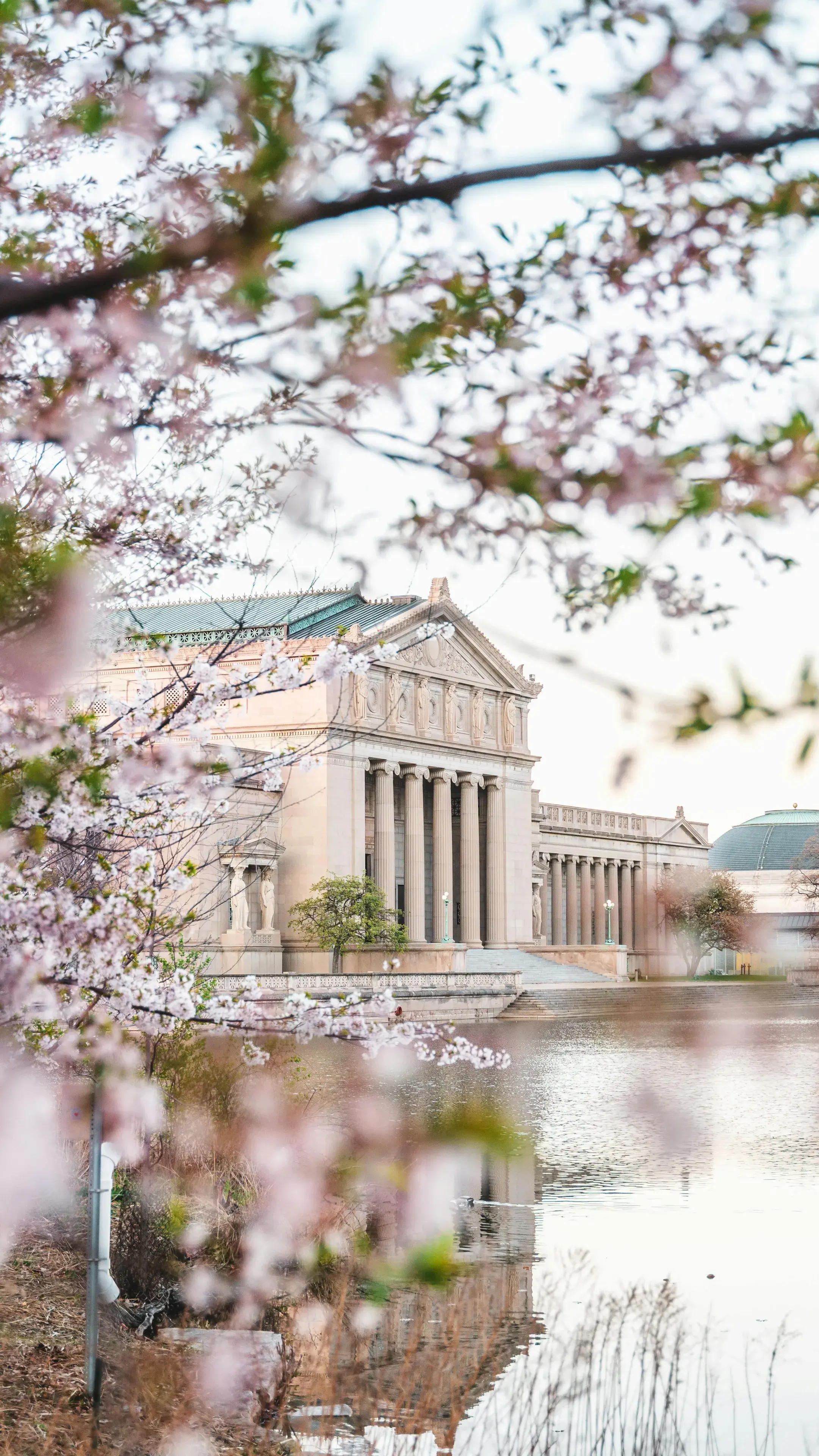 Brown Concrete Building with Columns Brown Concrete Building with Columns