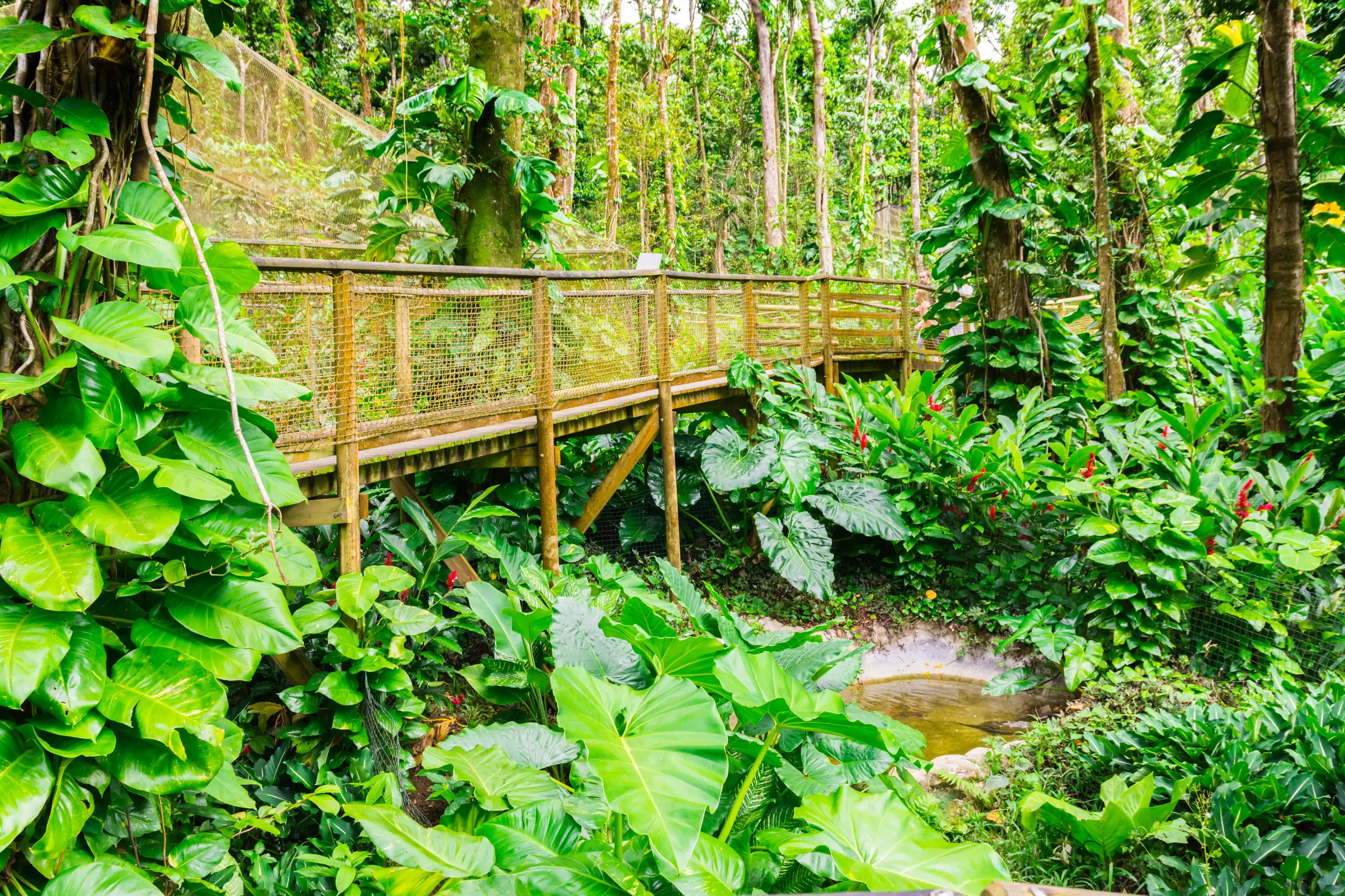 Best Bouillante hotels. Cheap hotels in Bouillante, Guadeloupe Best Bouillante hotels. Cheap hotels in Bouillante, Guadeloupe