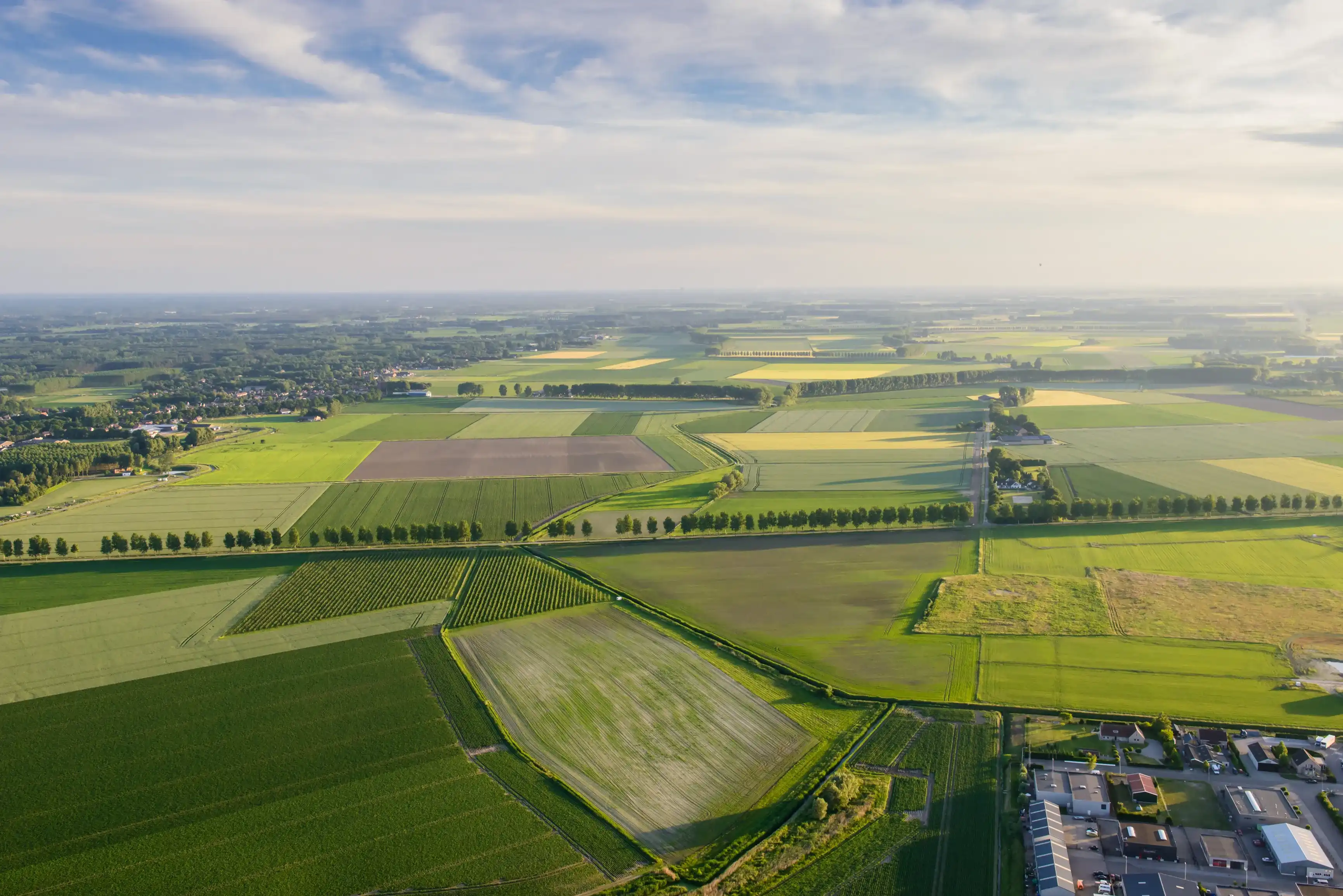 Arial iew from hot air balloon on green fields during sunset, the netherlands