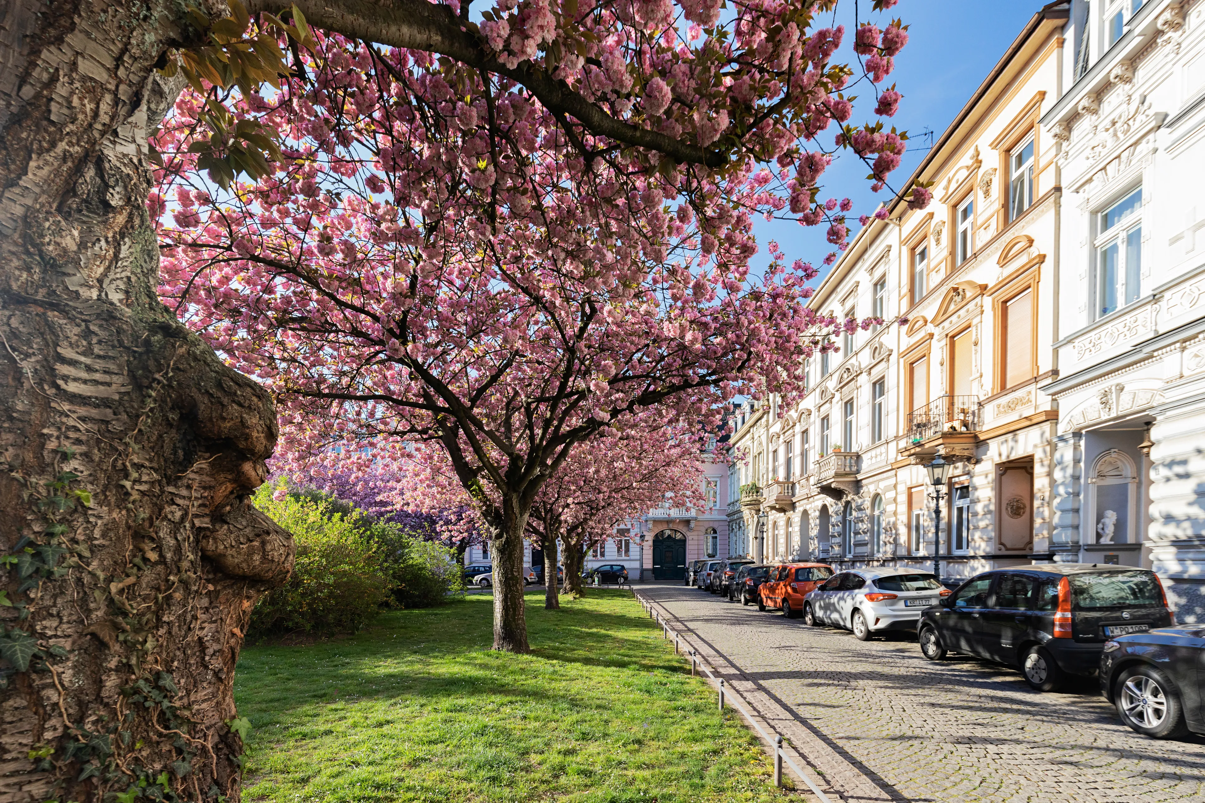 Best Krefeld hotels. Cheap hotels in Krefeld, Germany