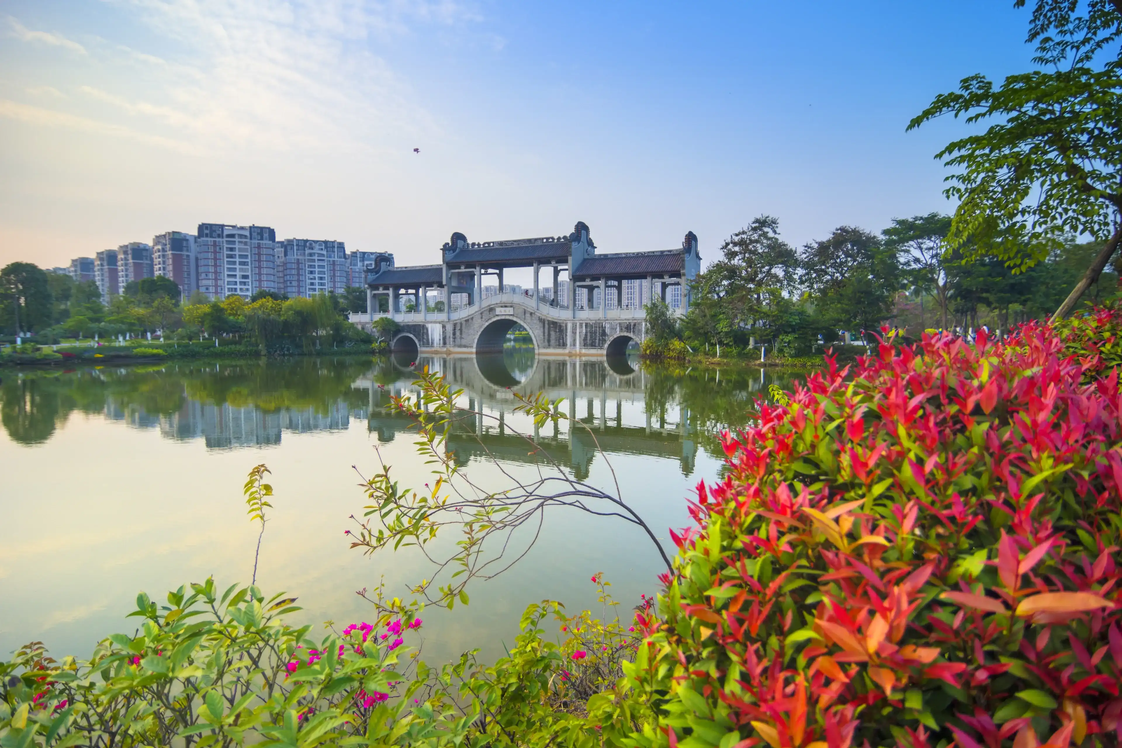 Foshan city landmark, lake bridge in the park